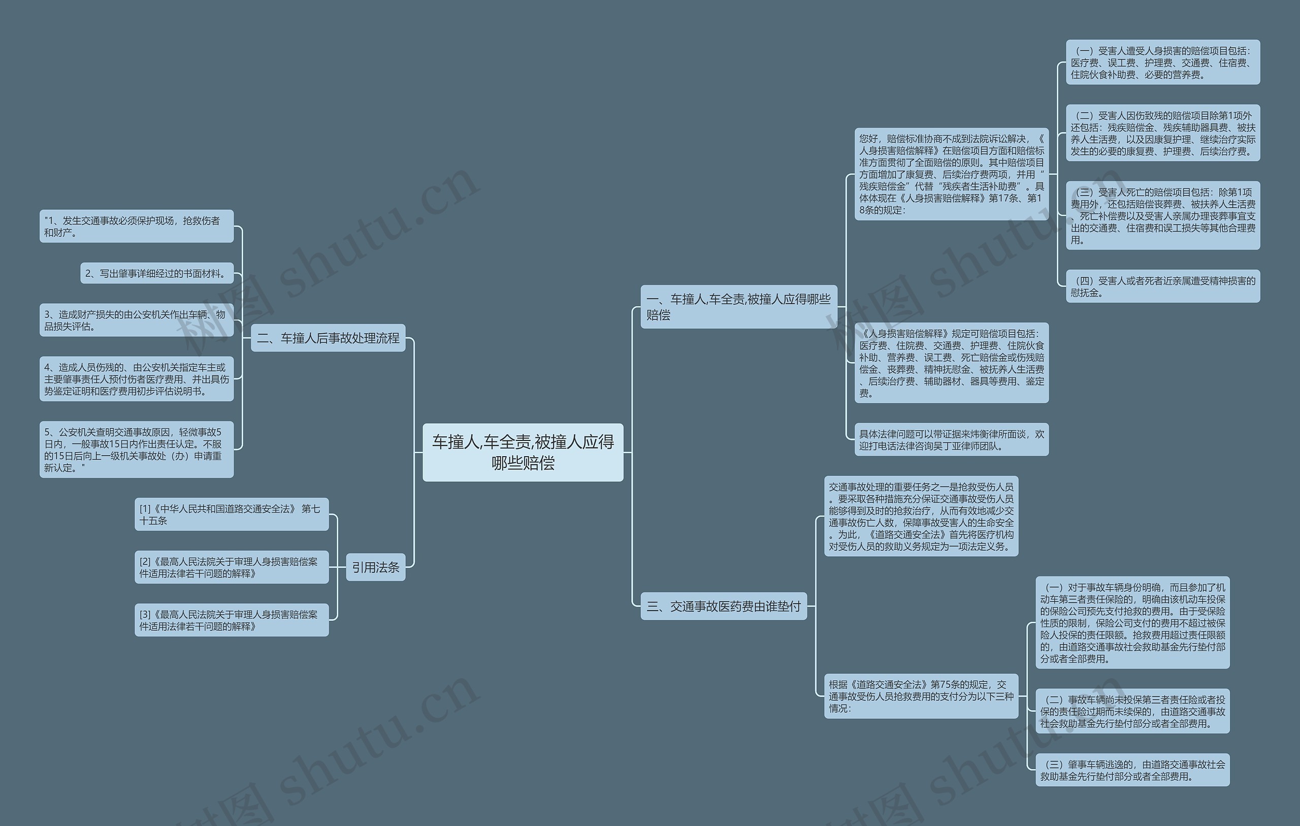 车撞人,车全责,被撞人应得哪些赔偿思维导图