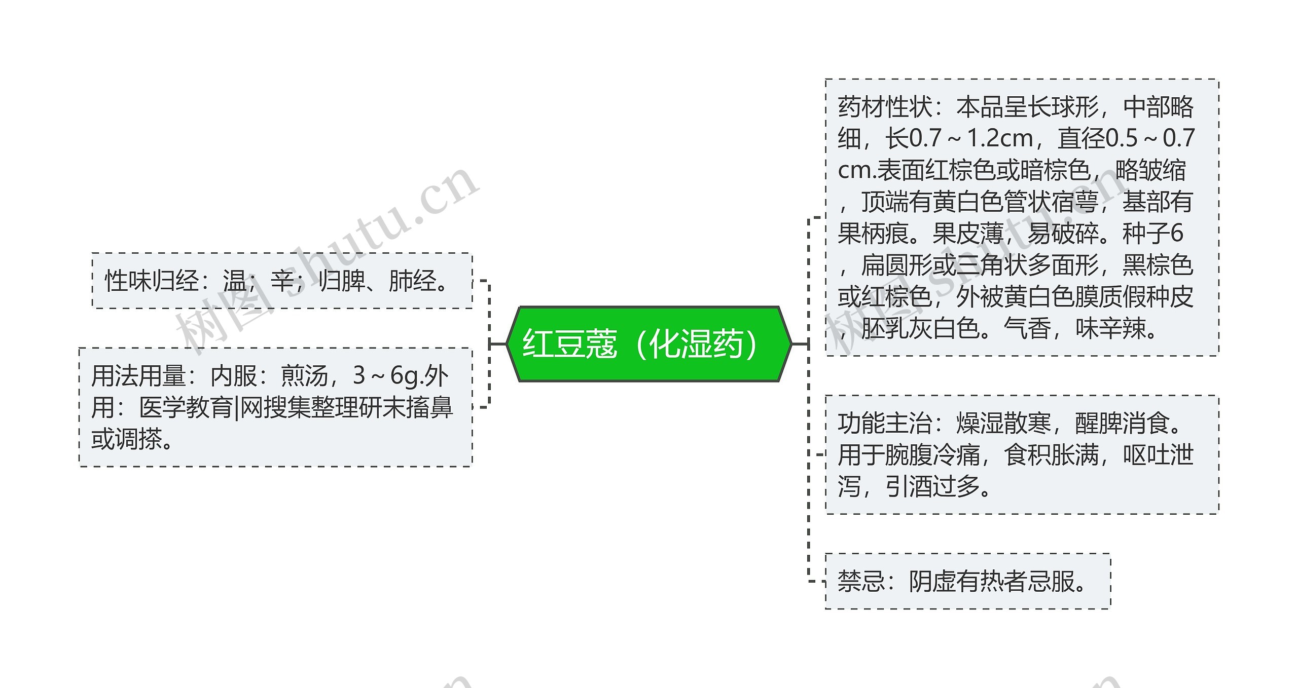 红豆蔻（化湿药）