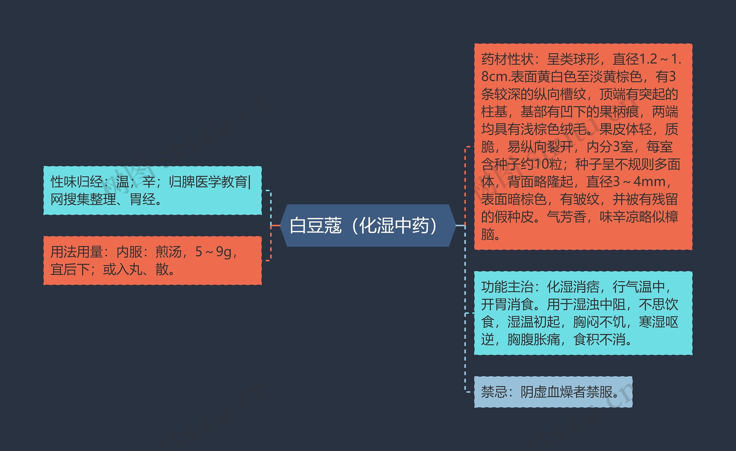 白豆蔻（化湿中药）思维导图