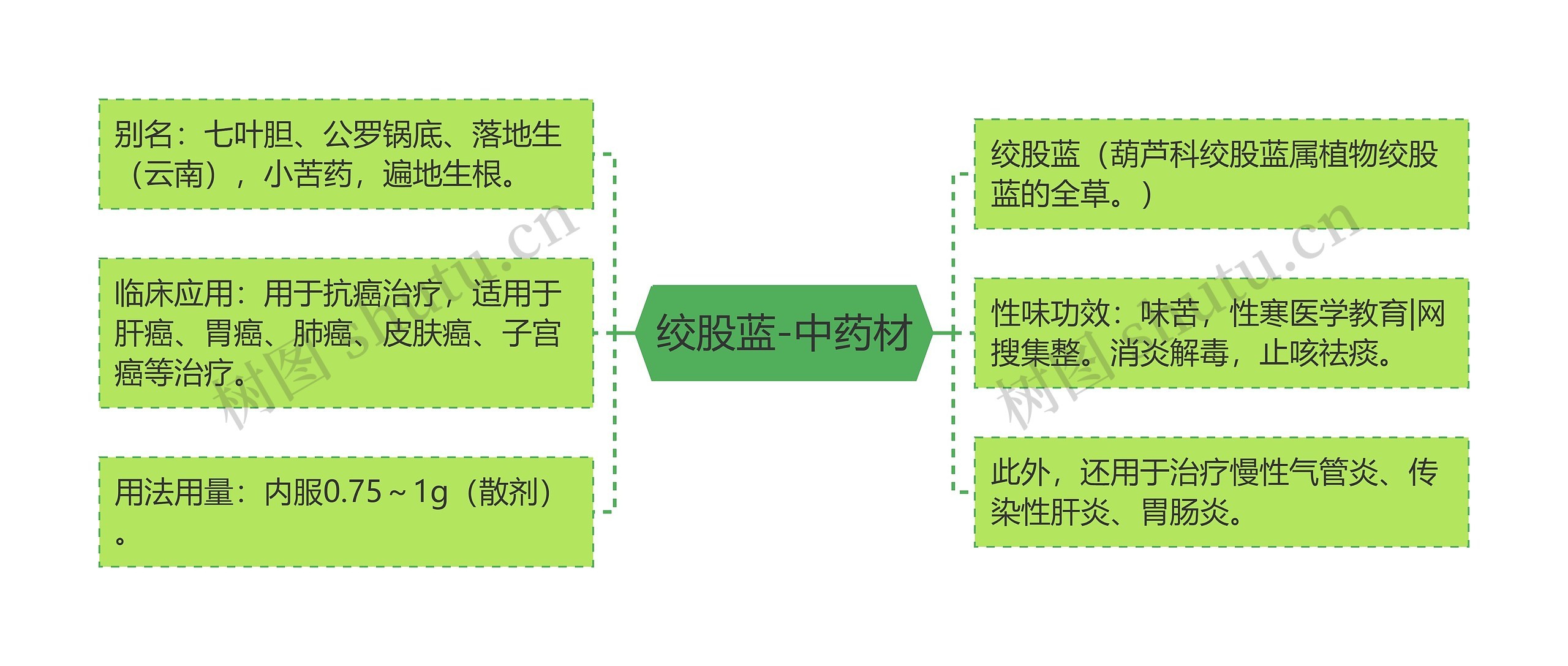 绞股蓝-中药材思维导图