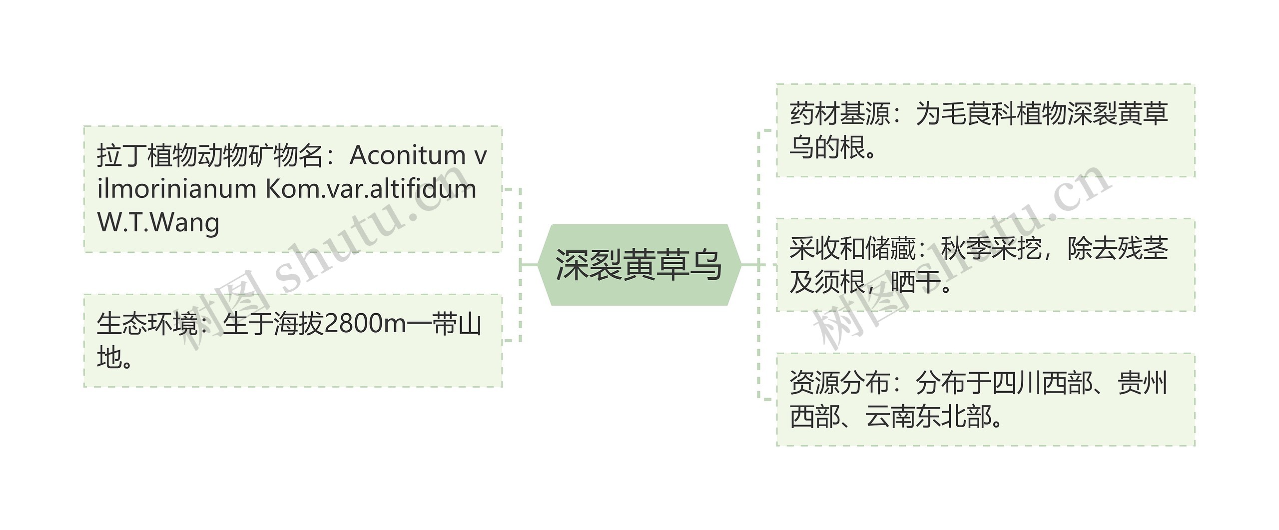 深裂黄草乌思维导图