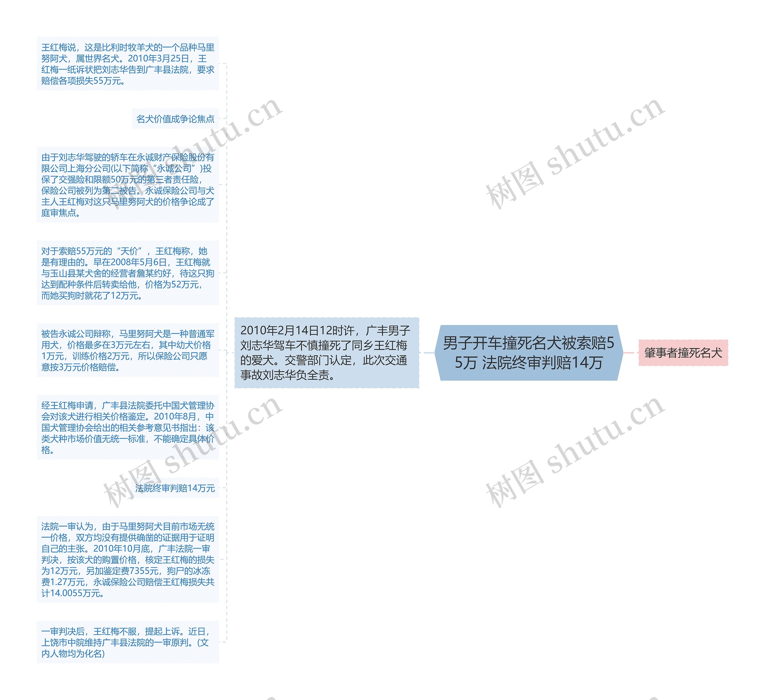 男子开车撞死名犬被索赔55万 法院终审判赔14万