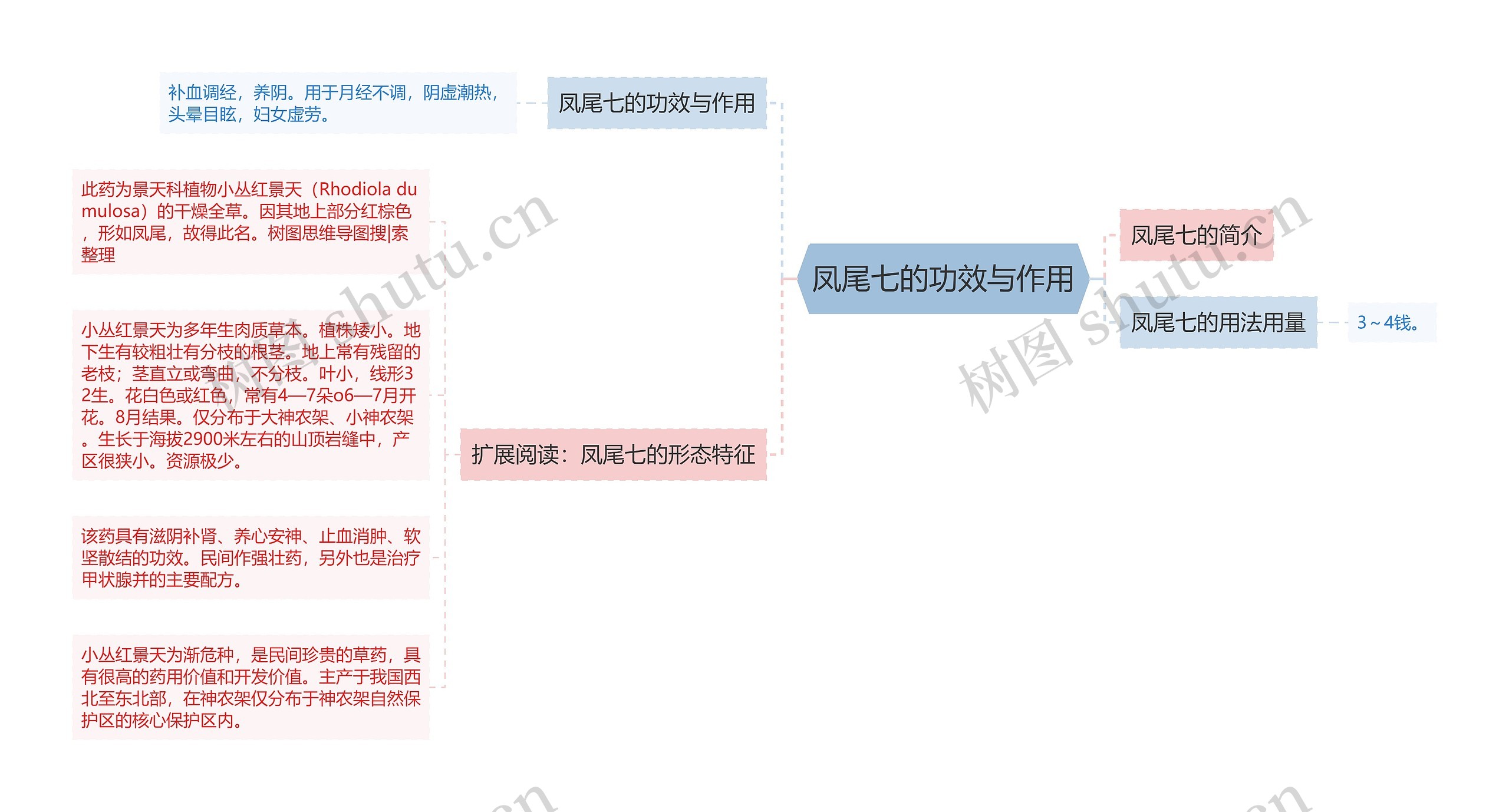 凤尾七的功效与作用思维导图