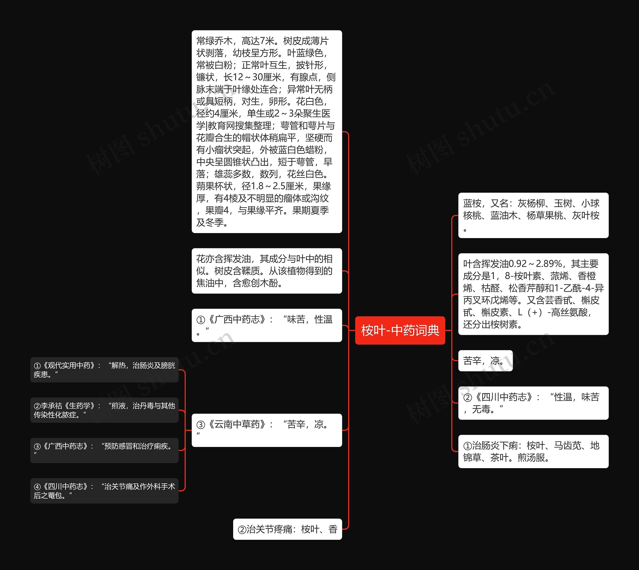 桉叶-中药词典思维导图