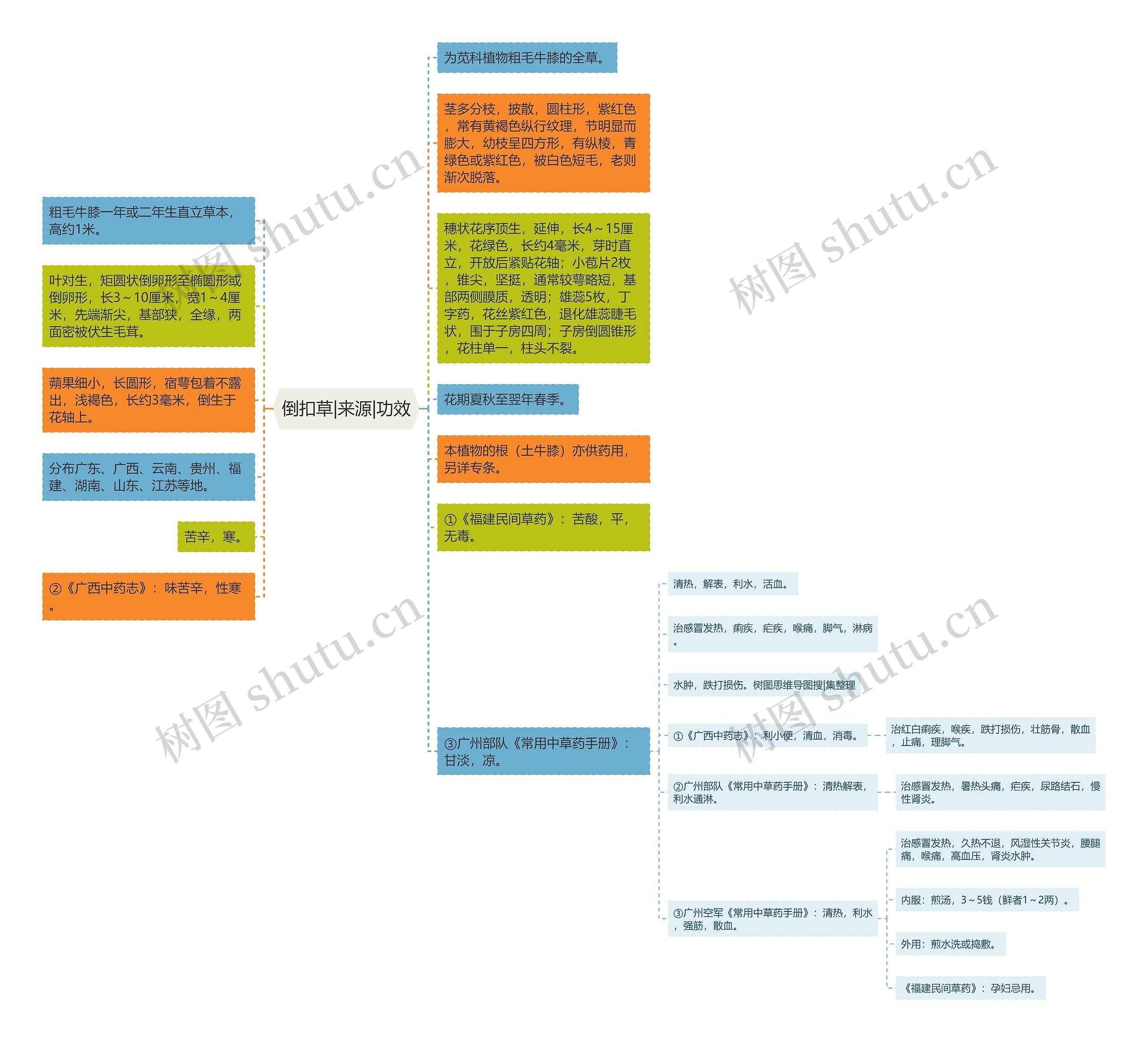 倒扣草|来源|功效 倒扣草|来源|功效