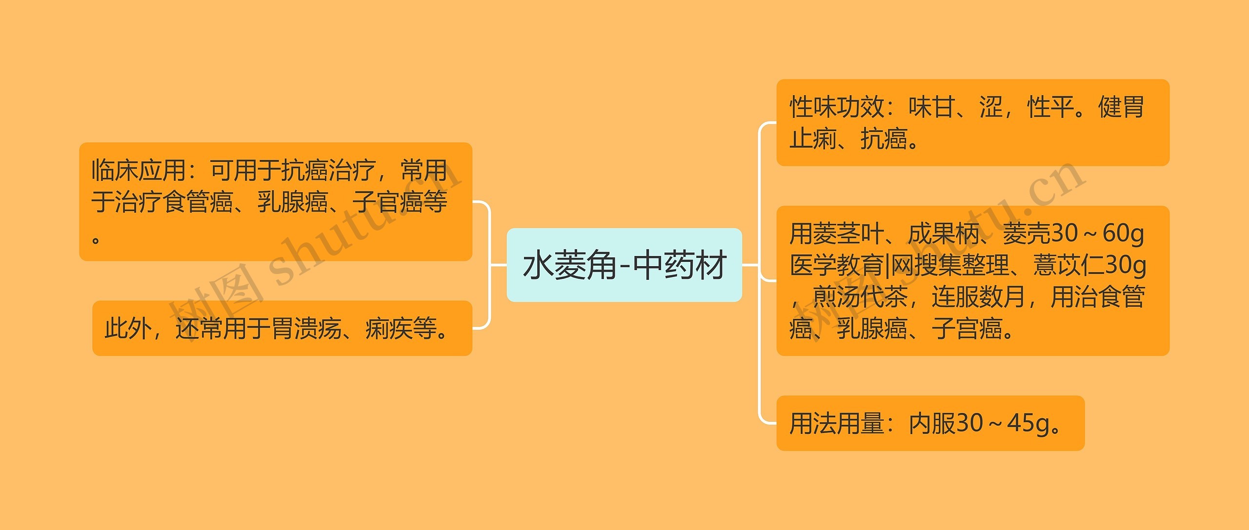 水菱角-中药材 水菱角-中药材