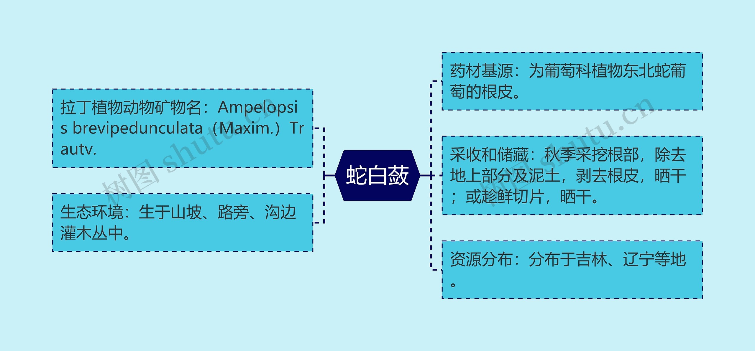 蛇白蔹思维导图