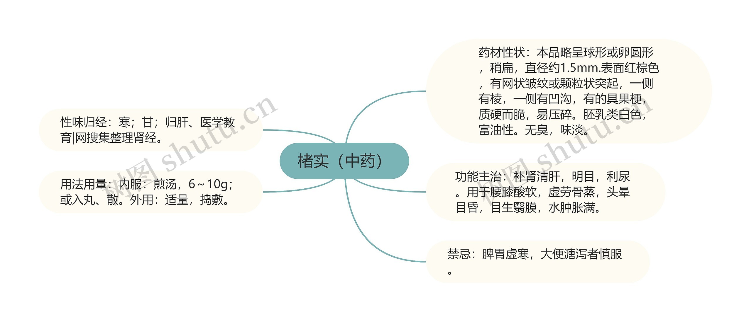 楮实（中药）思维导图