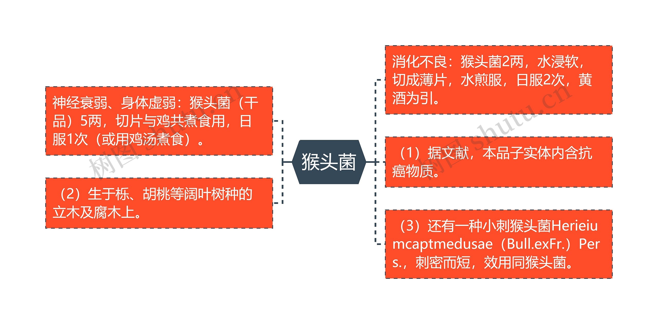 猴头菌思维导图