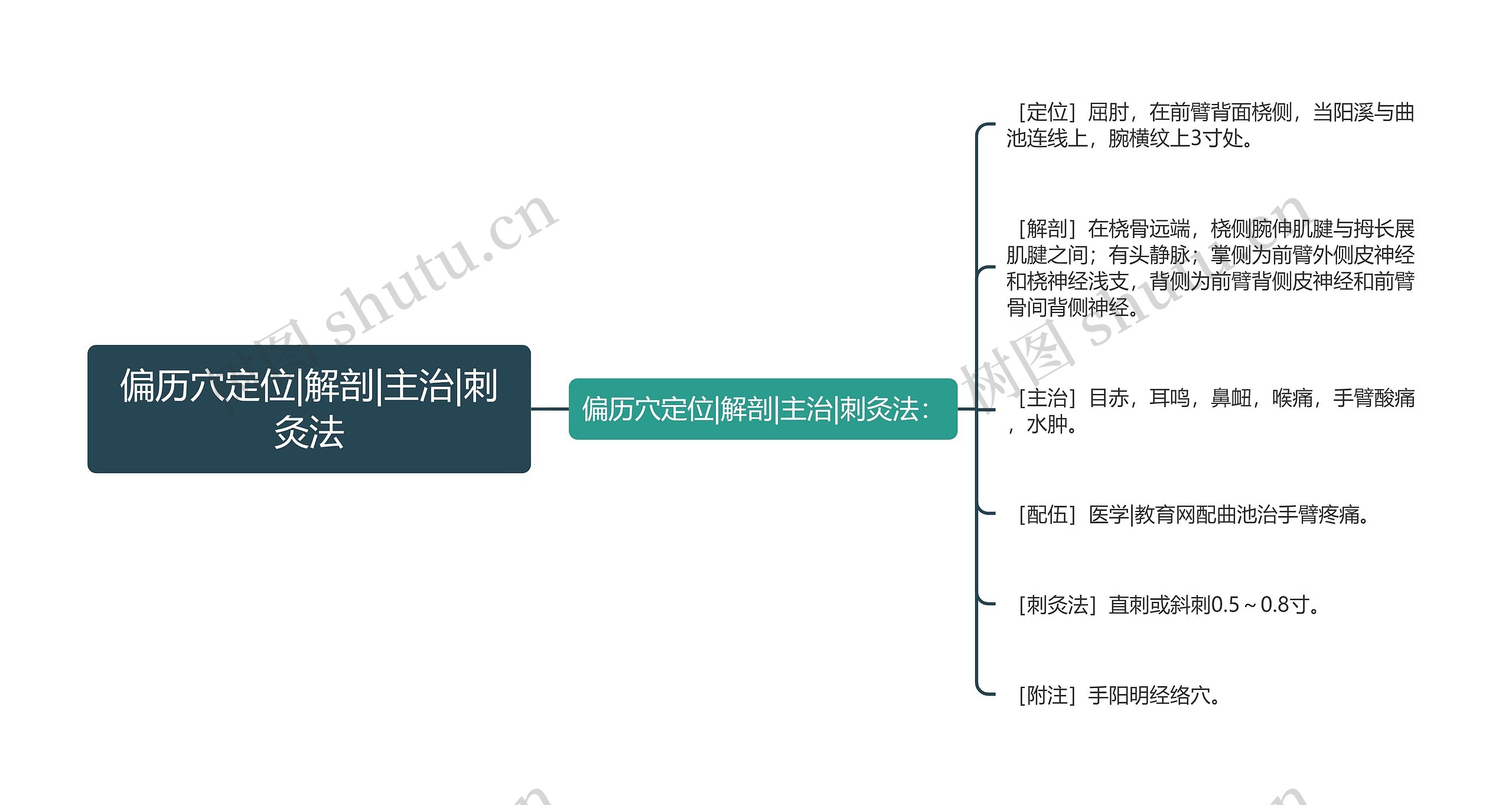 偏历穴定位|解剖|主治|刺灸法思维导图