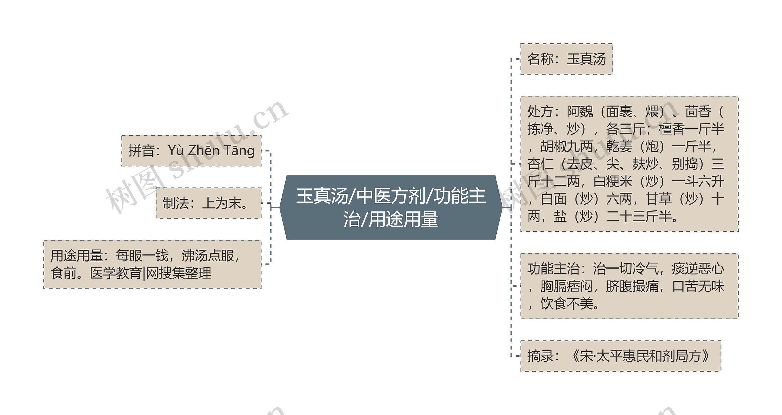 玉真汤/中医方剂/功能主治/用途用量思维导图