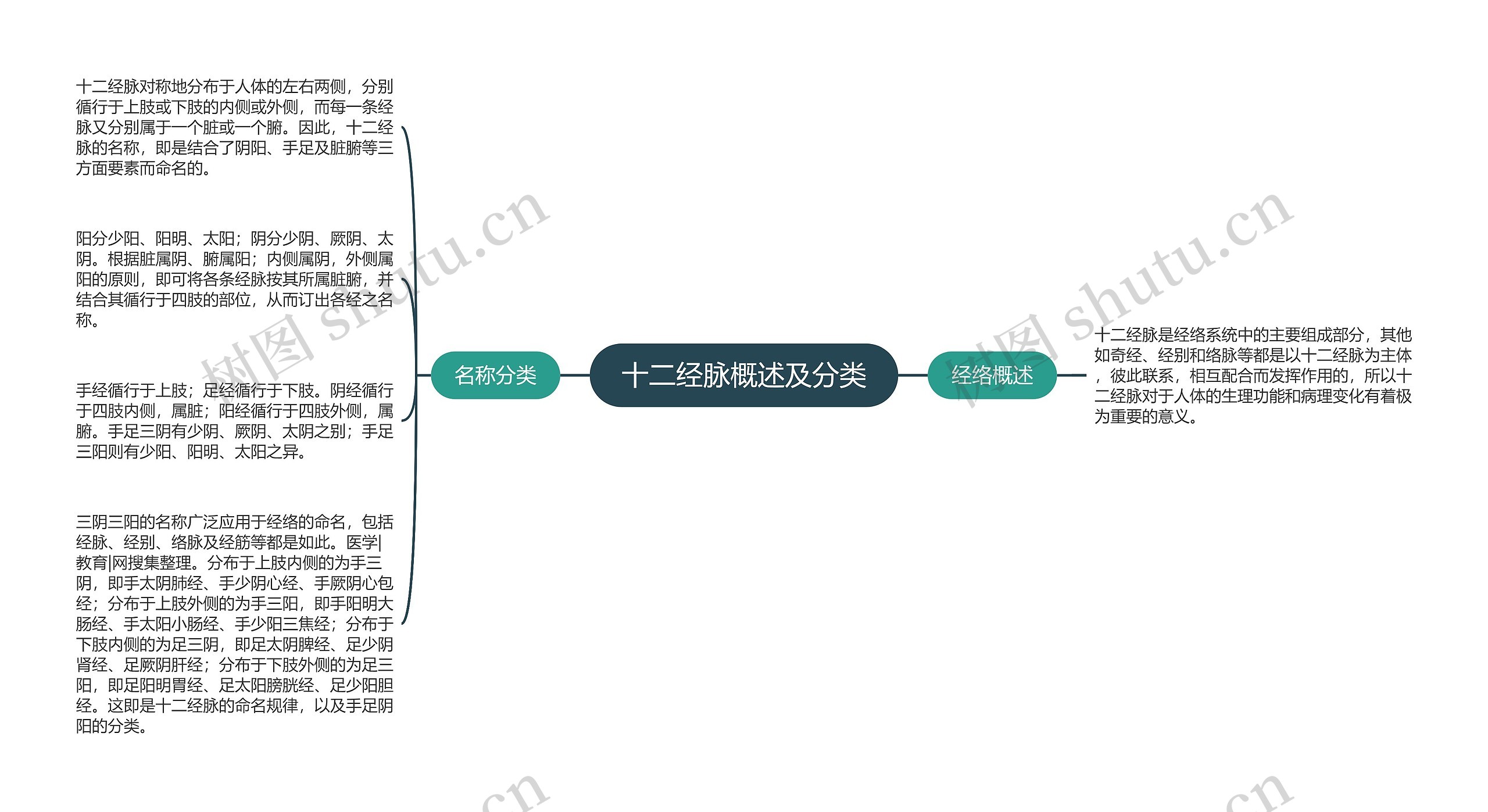 十二经脉概述及分类