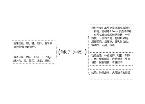 角树子（中药）