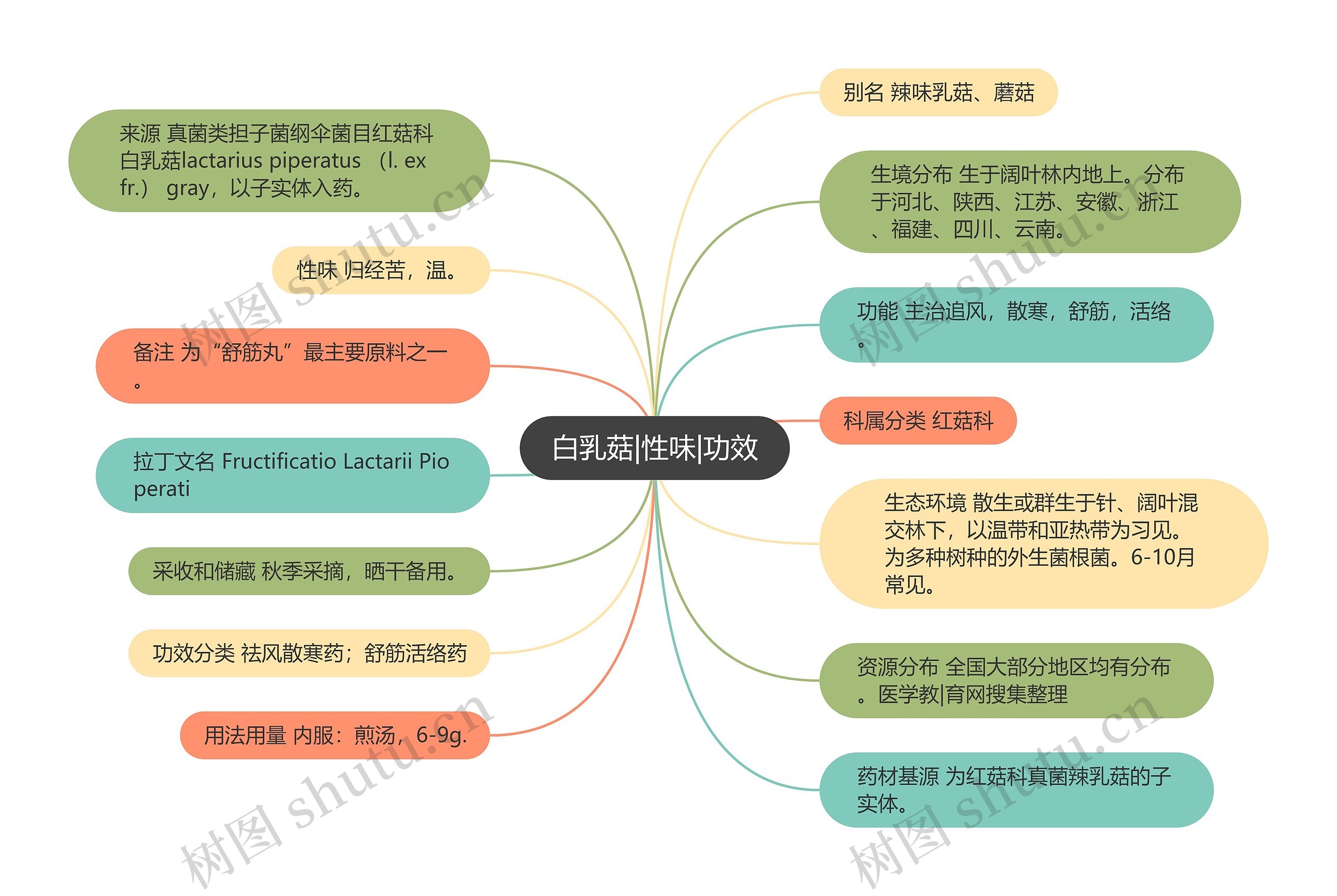 白乳菇|性味|功效思维导图