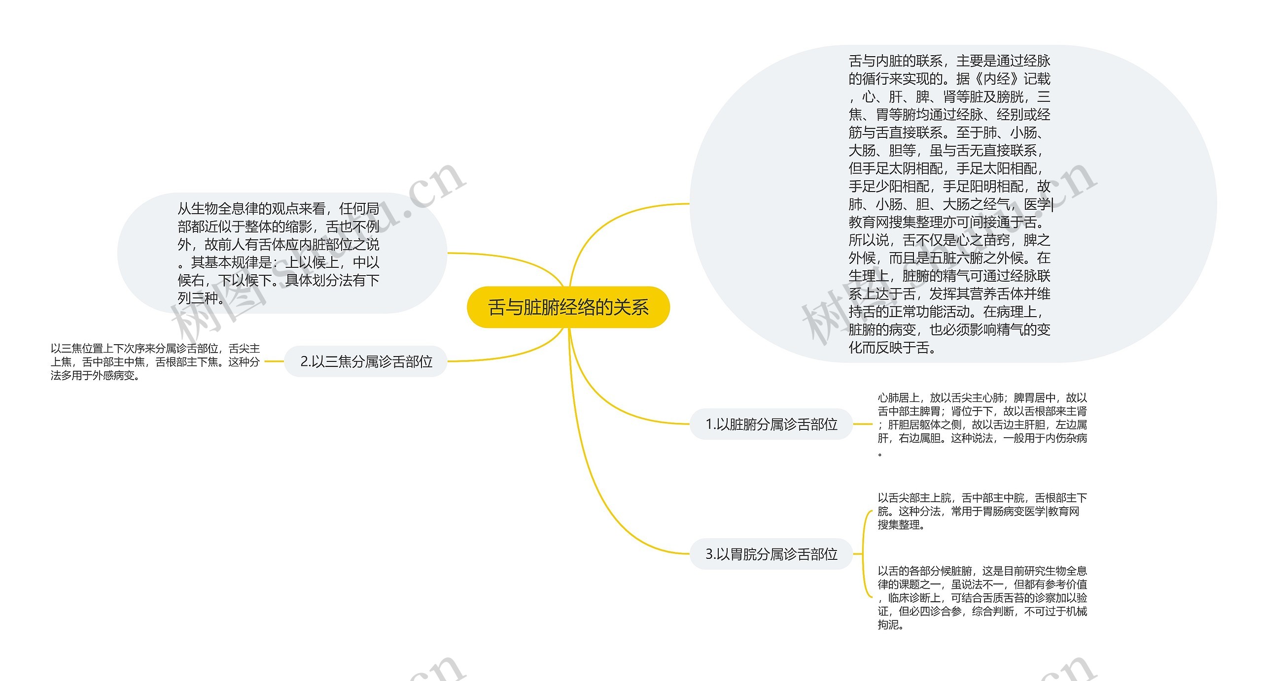 舌与脏腑经络的关系