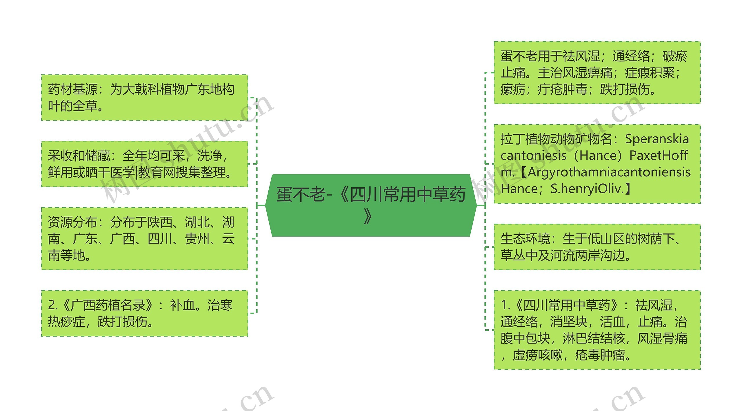 蛋不老-《四川常用中草药》思维导图