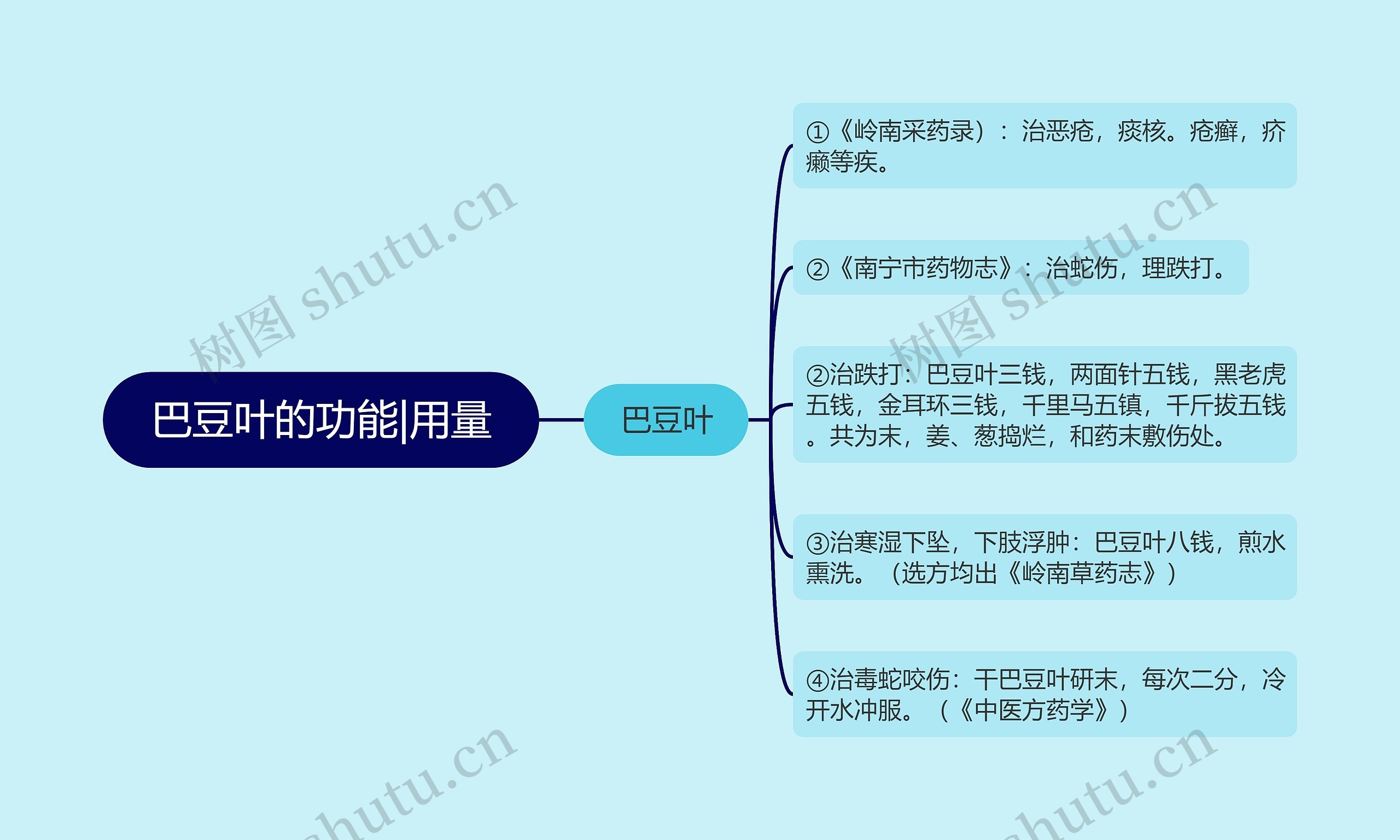 巴豆叶的功能|用量思维导图