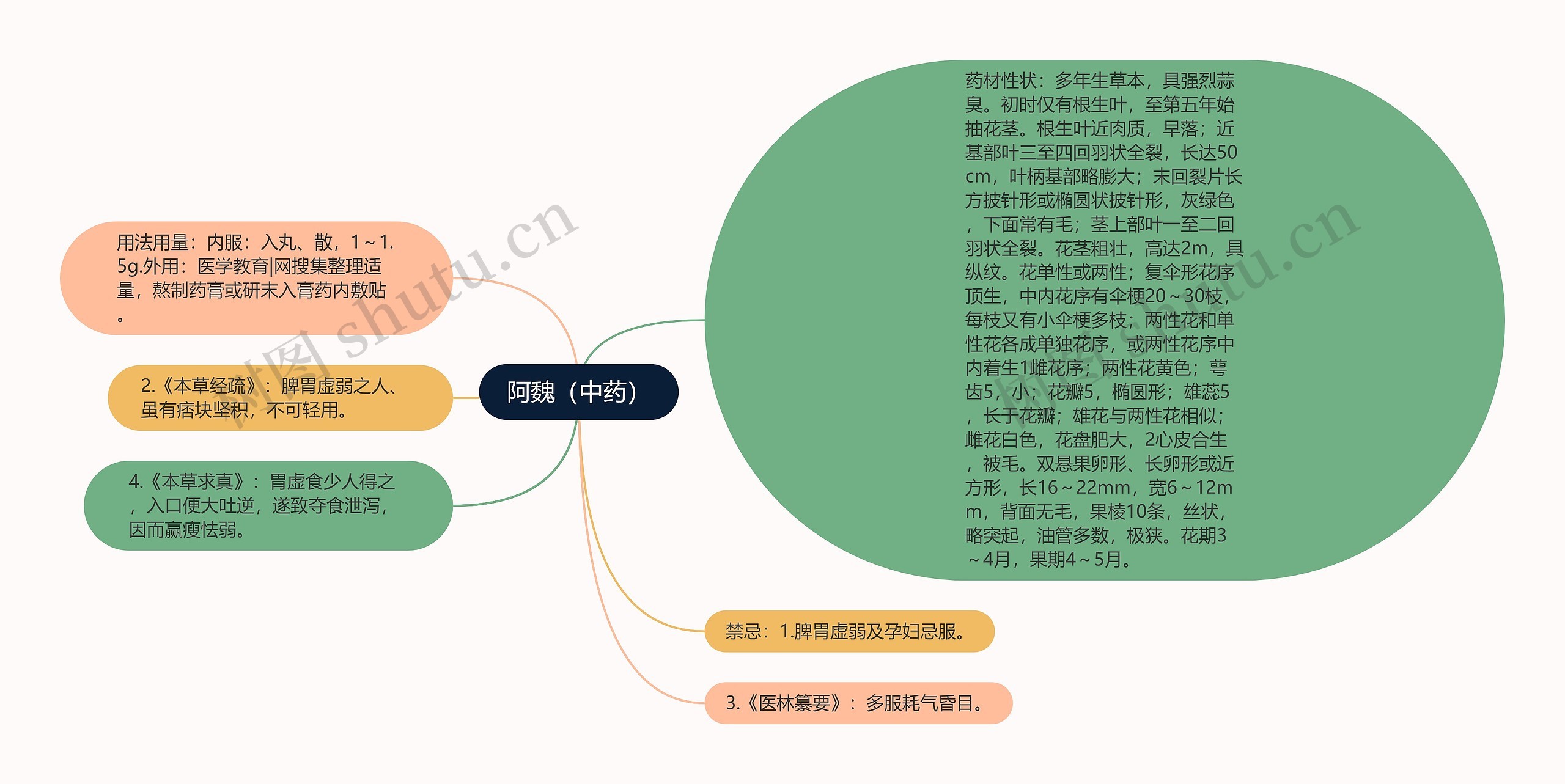 阿魏（中药）思维导图