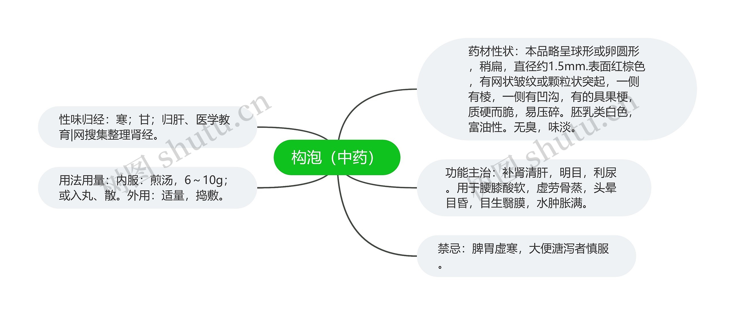 构泡（中药）思维导图