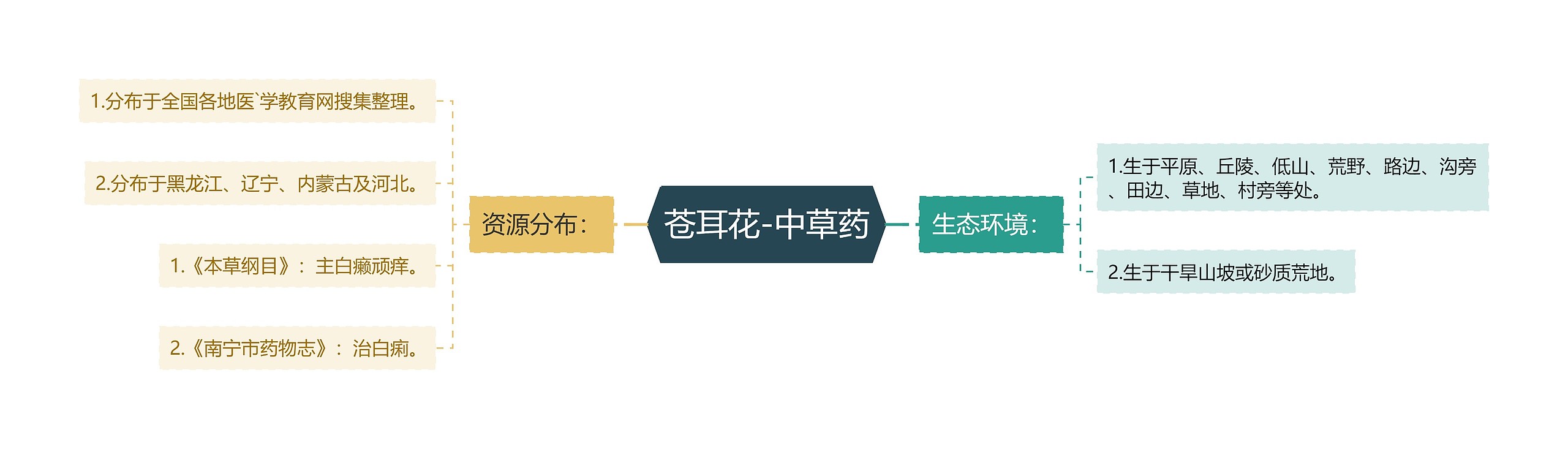 苍耳花-中草药 苍耳花-中草药