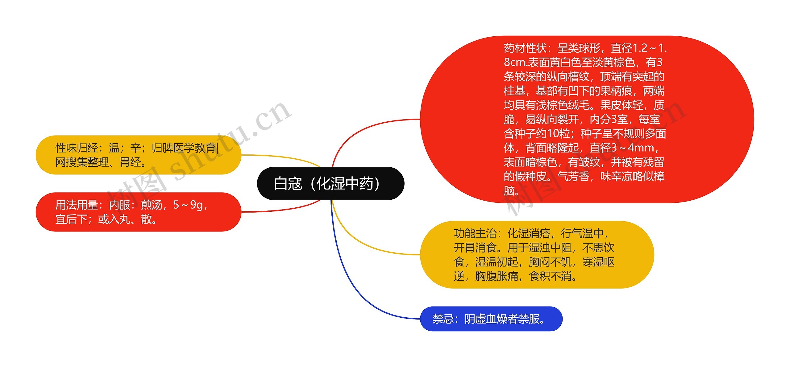 白寇（化湿中药）思维导图