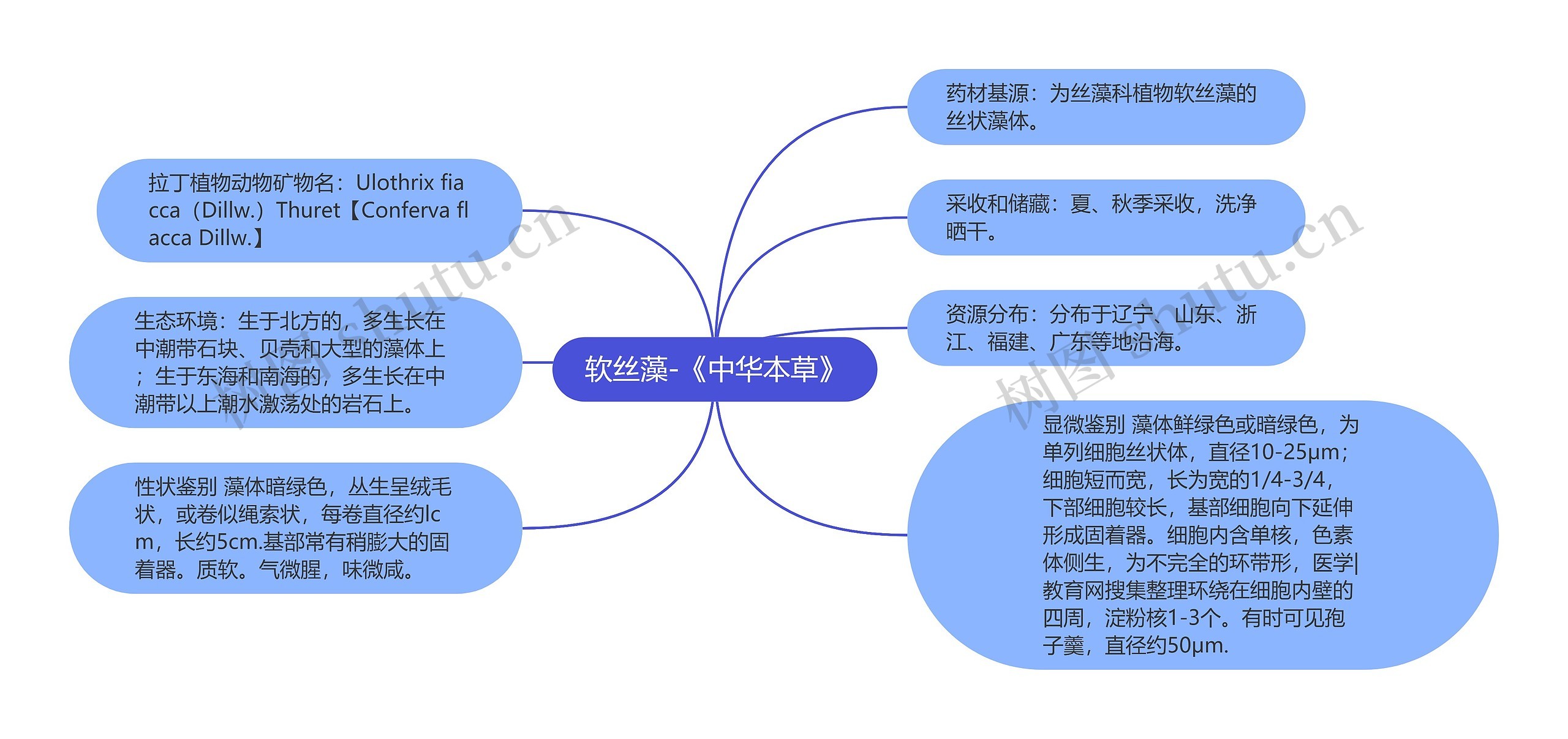 软丝藻-《中华本草》思维导图