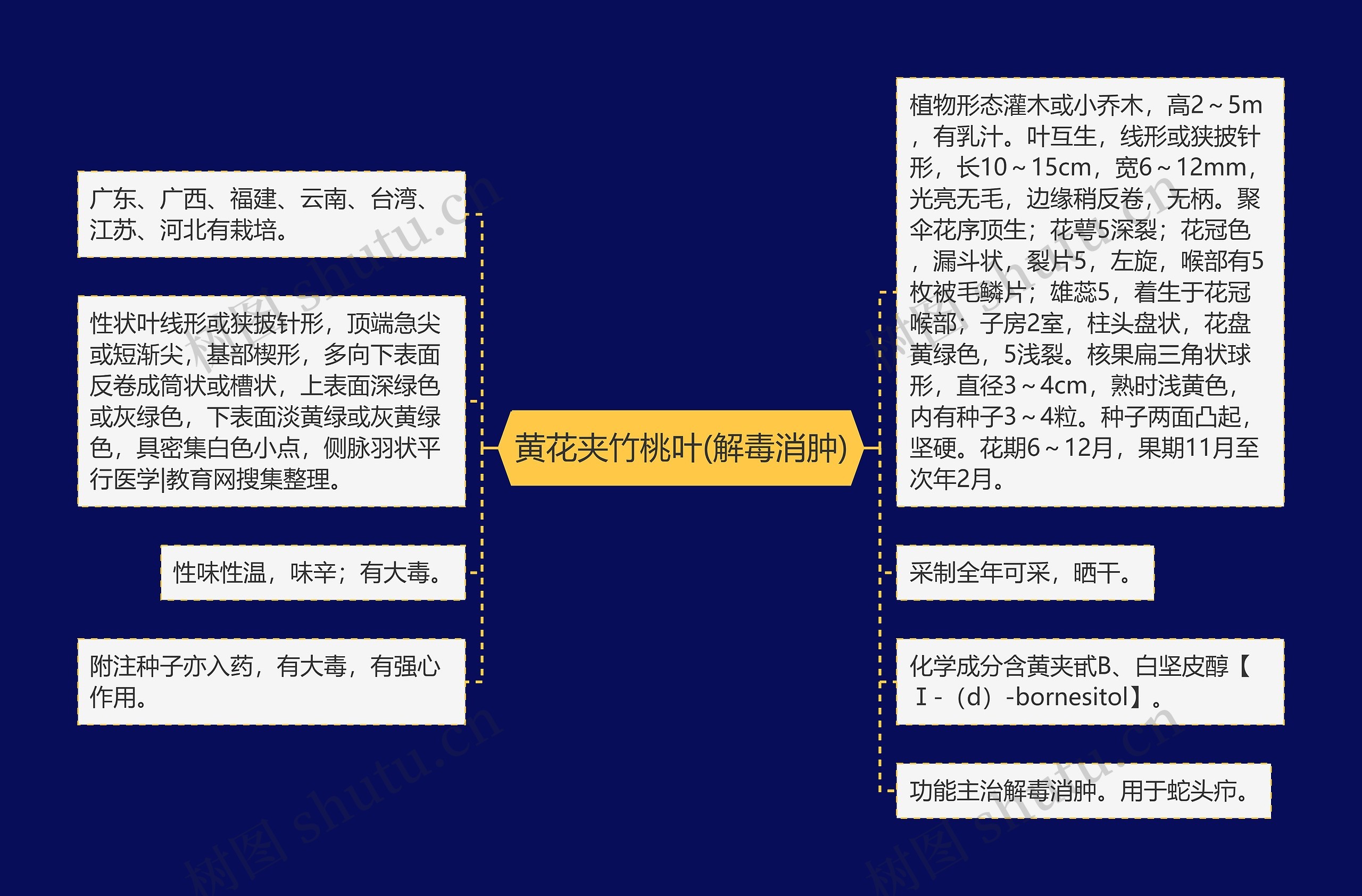 黄花夹竹桃叶(解毒消肿) 黄花夹竹桃叶(解毒消肿)