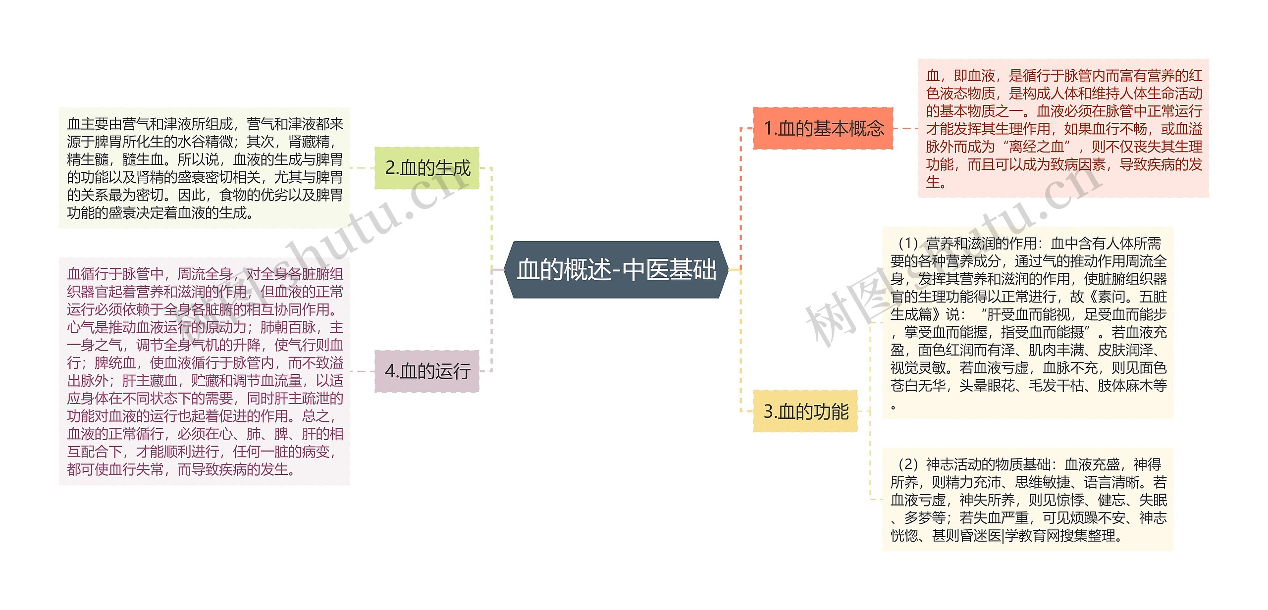 血的概述-中医基础