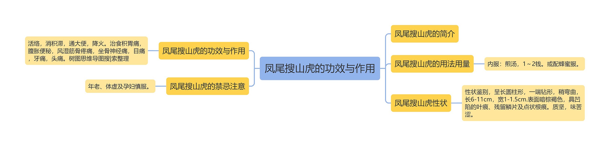凤尾搜山虎的功效与作用 凤尾搜山虎的功效与作用