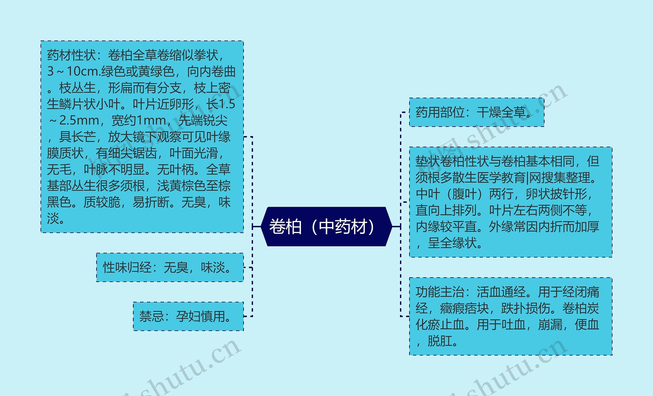 卷柏(中药材) 卷柏(中药材)