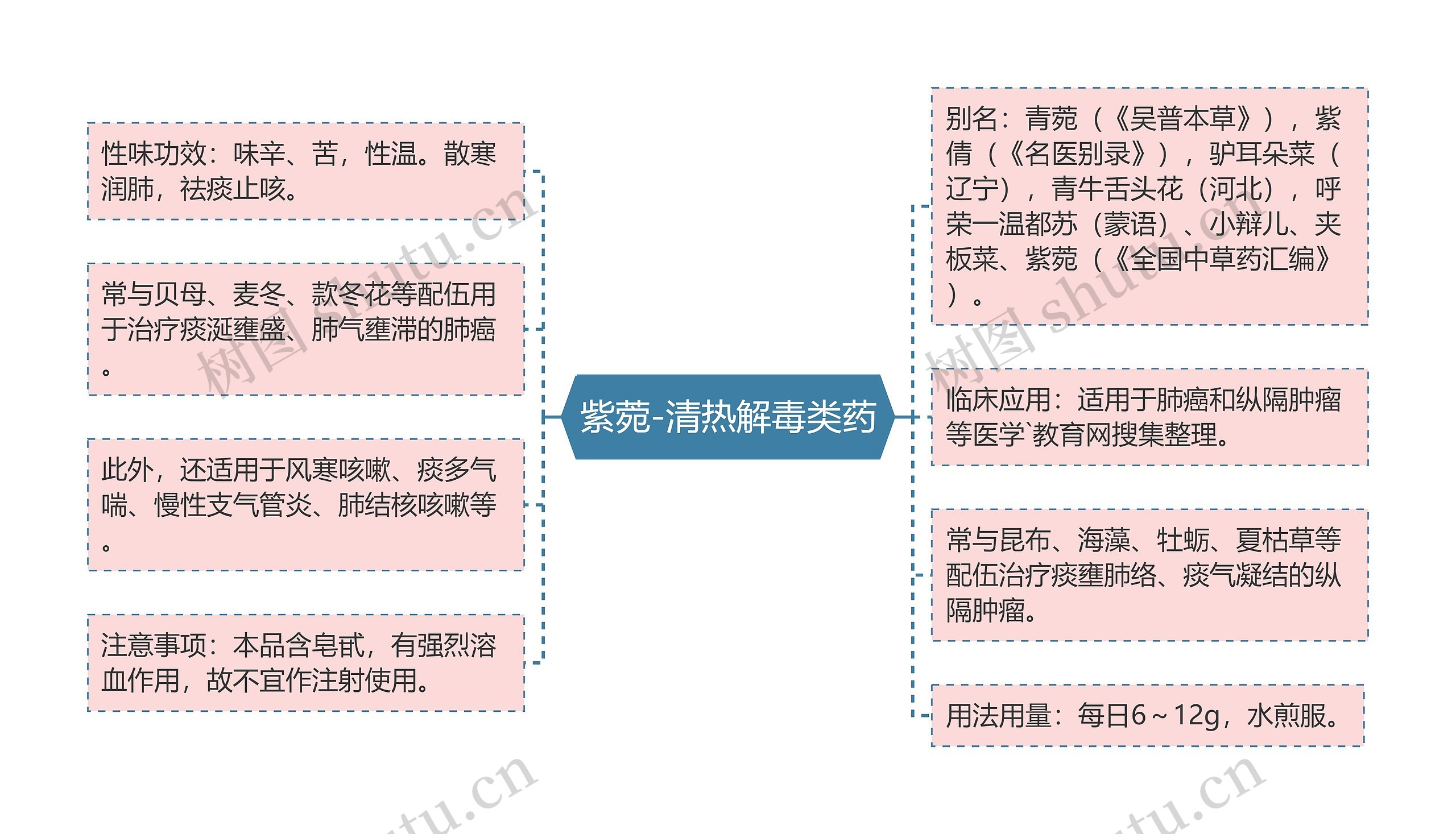 紫菀-清热解毒类药思维导图