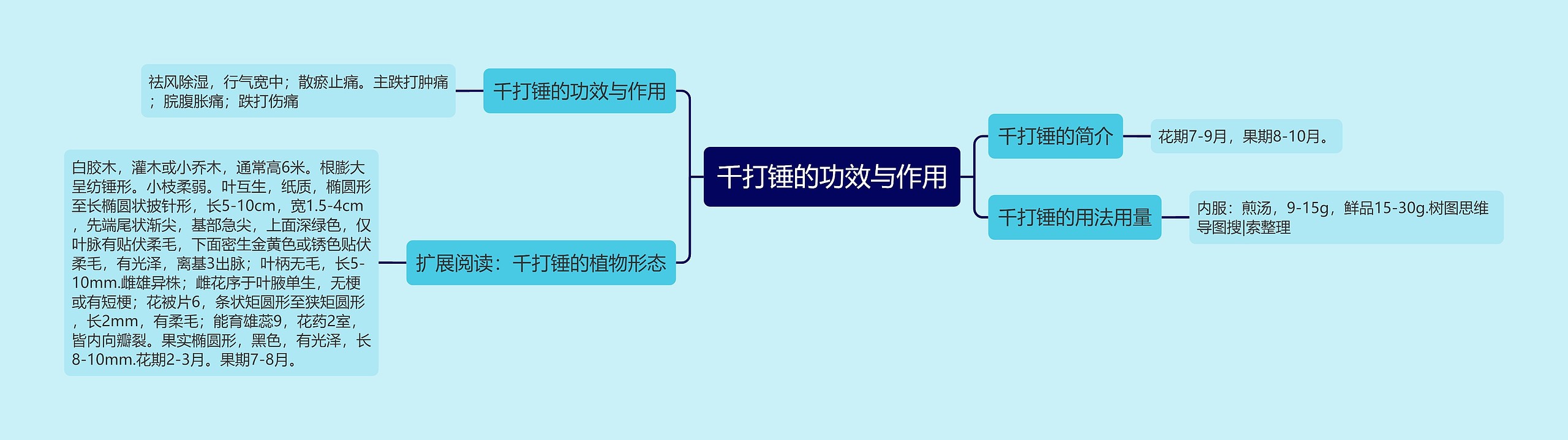 千打锤的功效与作用思维导图