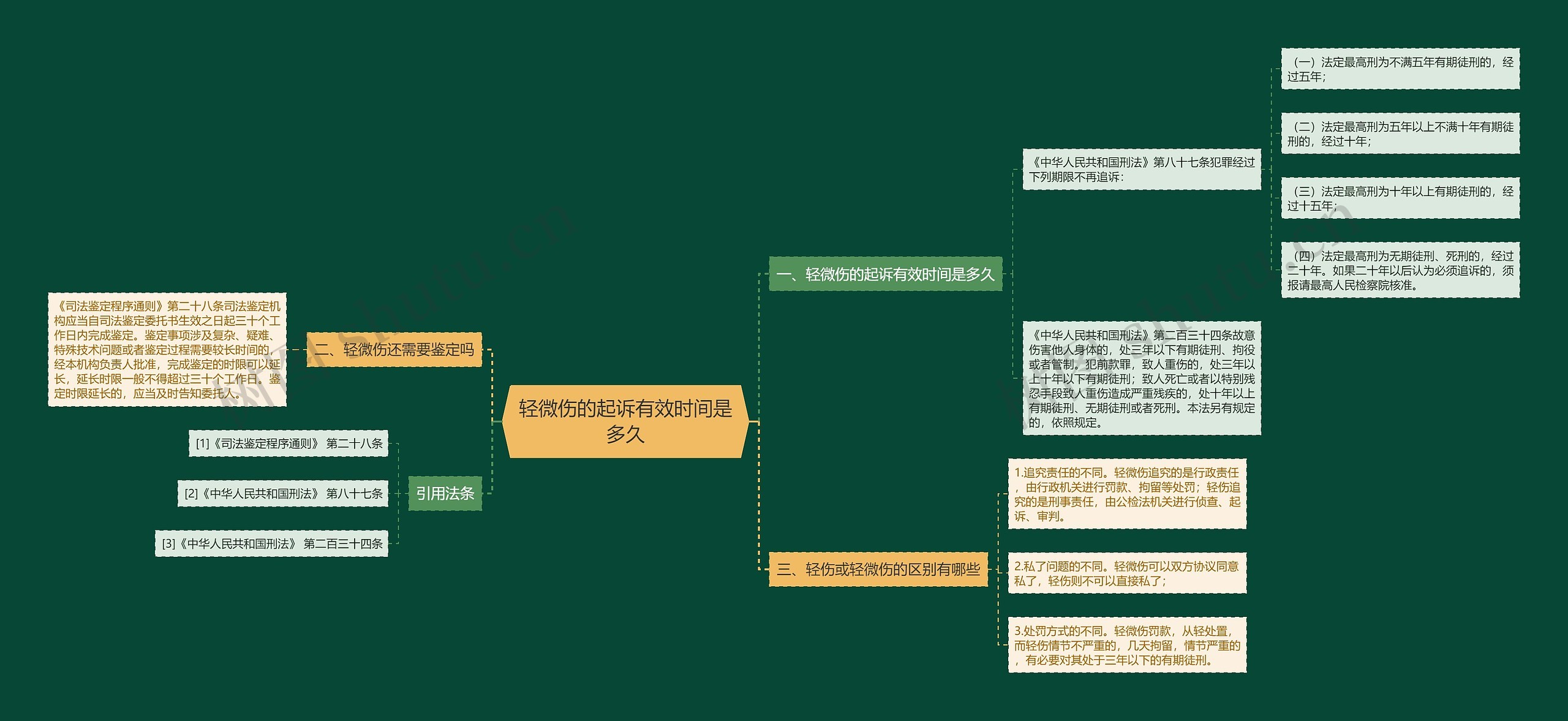 轻微伤的起诉有效时间是多久思维导图