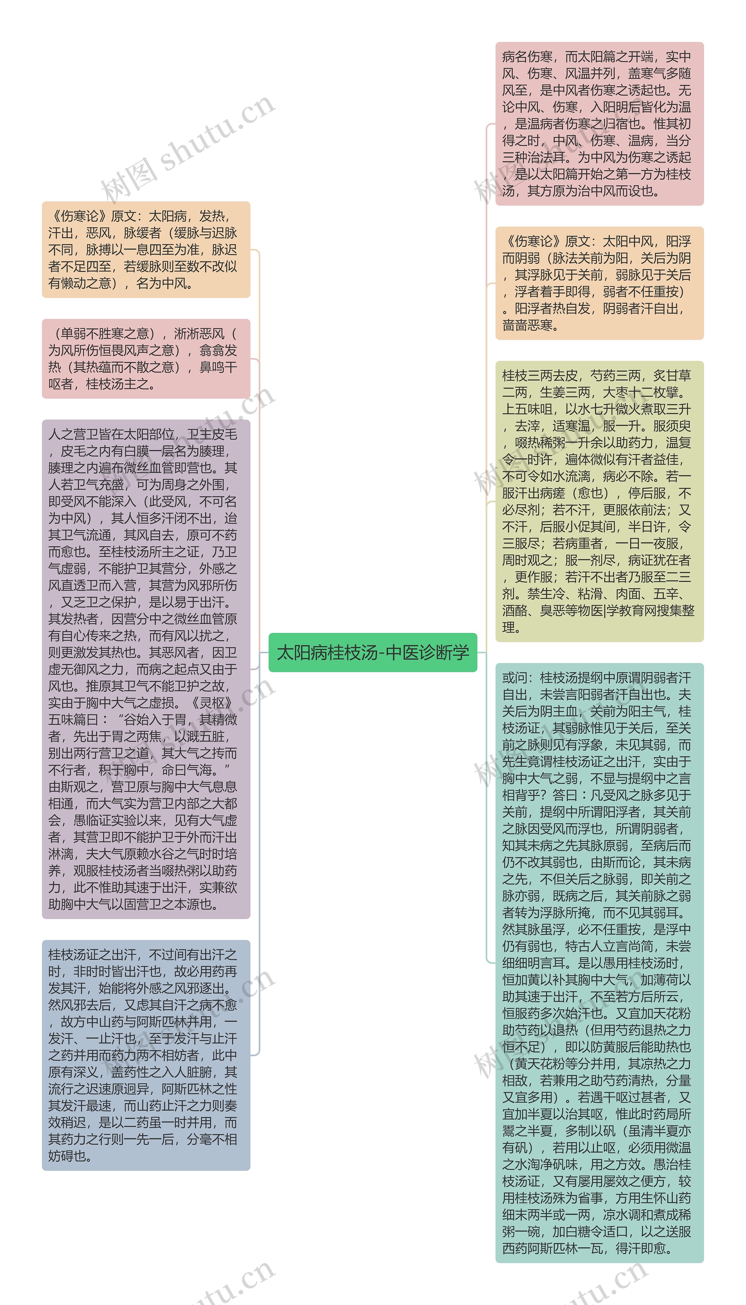 太阳病桂枝汤-中医诊断学