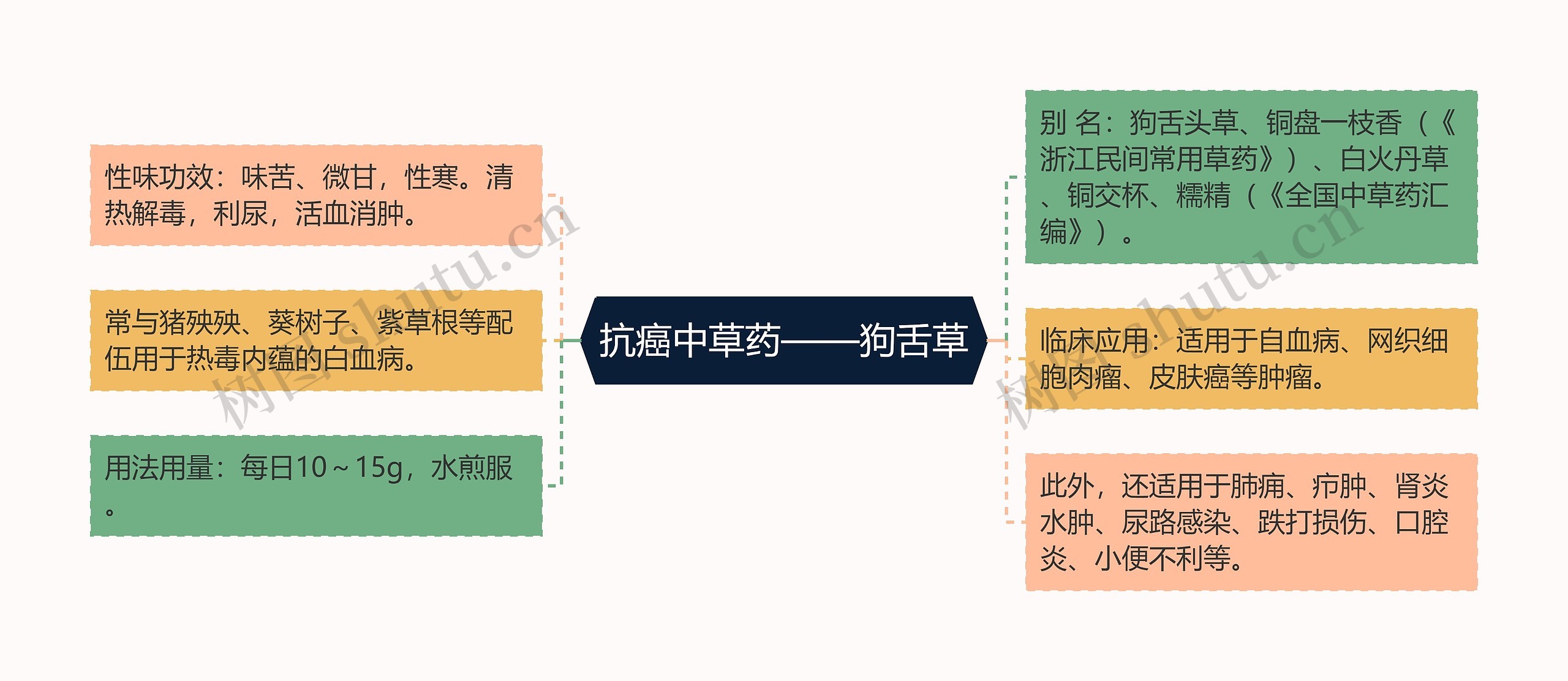 抗癌中草药——狗舌草