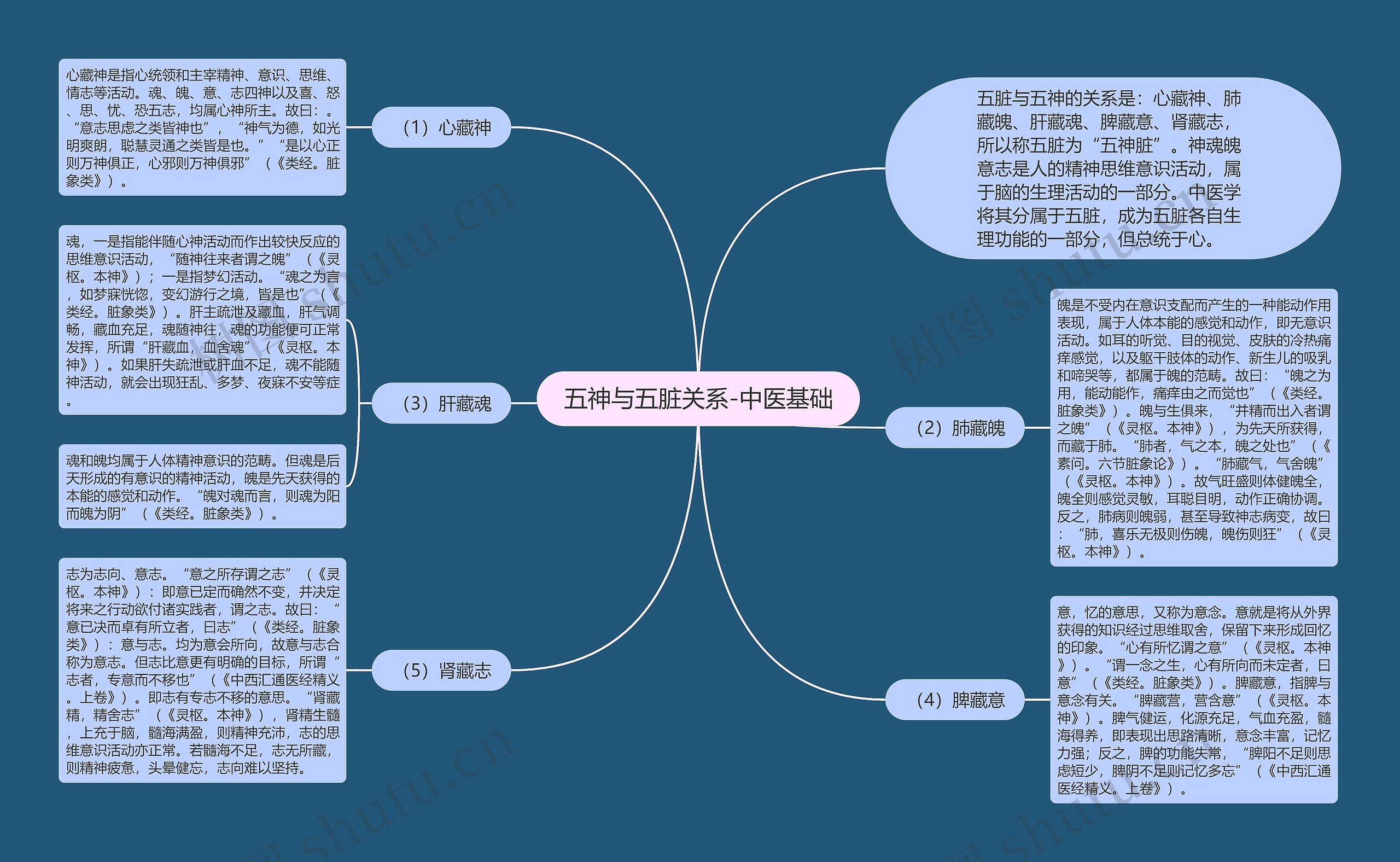 五神与五脏关系-中医基础