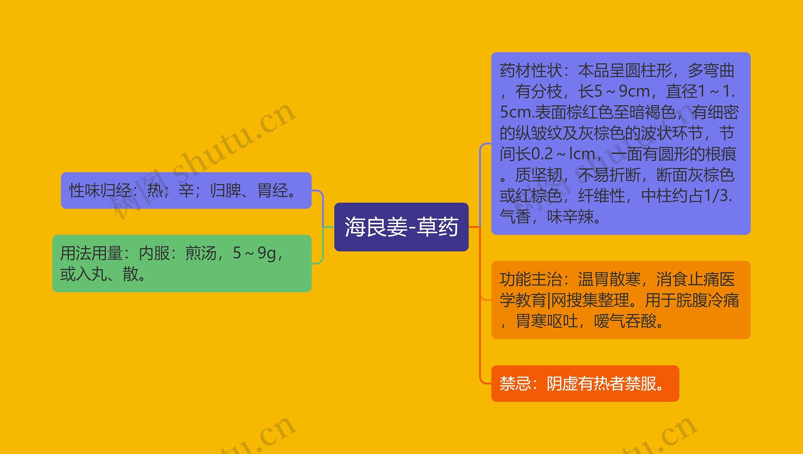 海良姜-草药思维导图