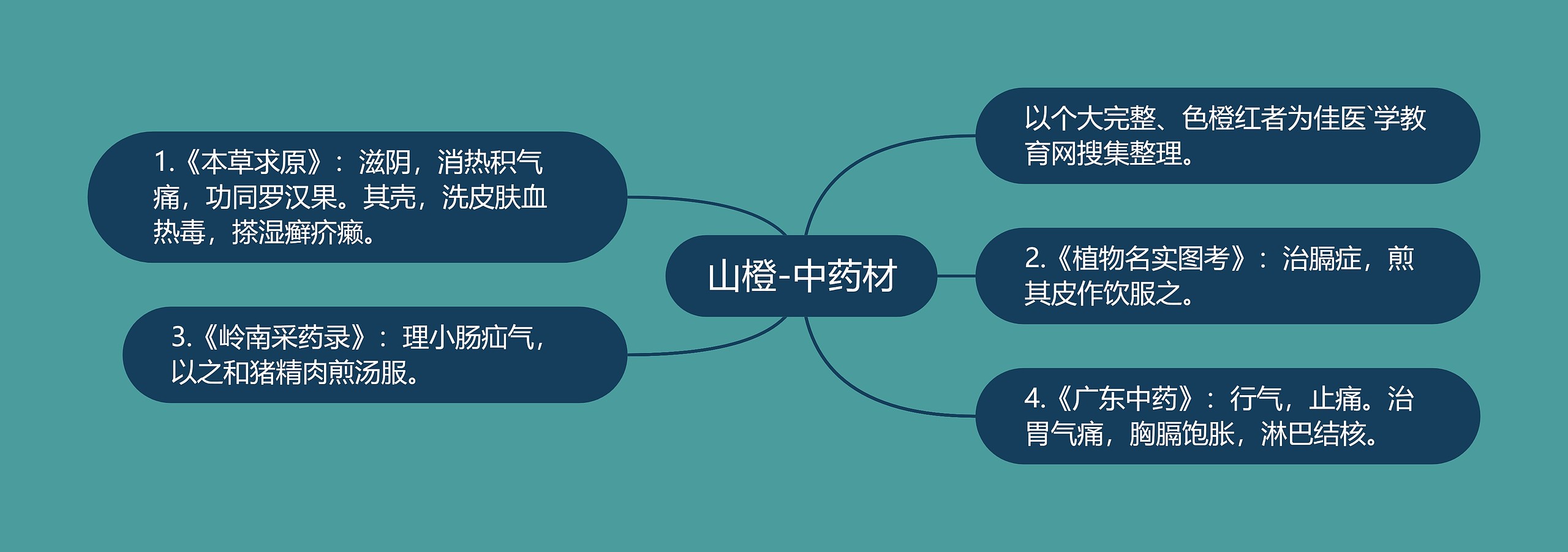 山橙-中药材 山橙-中药材