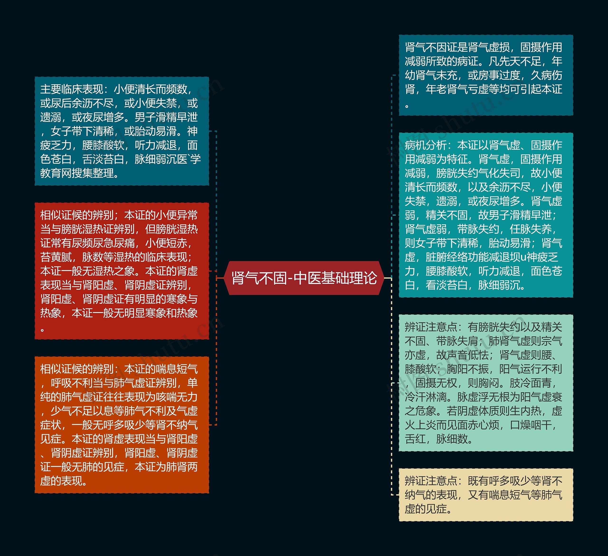 肾气不固-中医基础理论