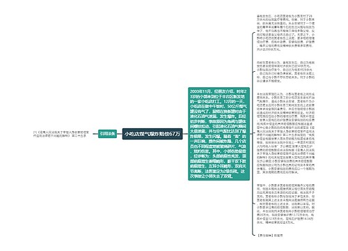 小吃店煤气爆炸赔偿67万