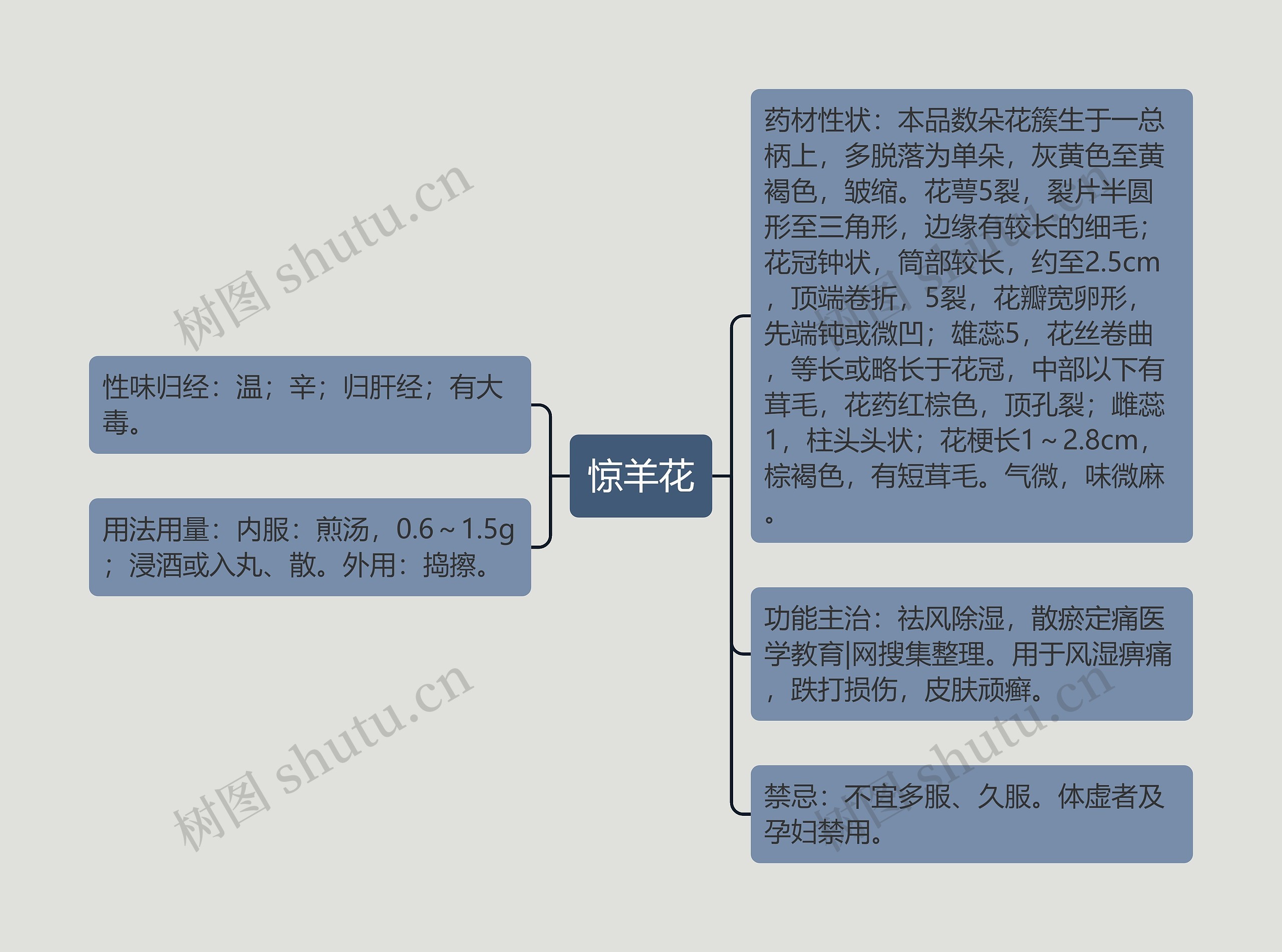 惊羊花思维导图