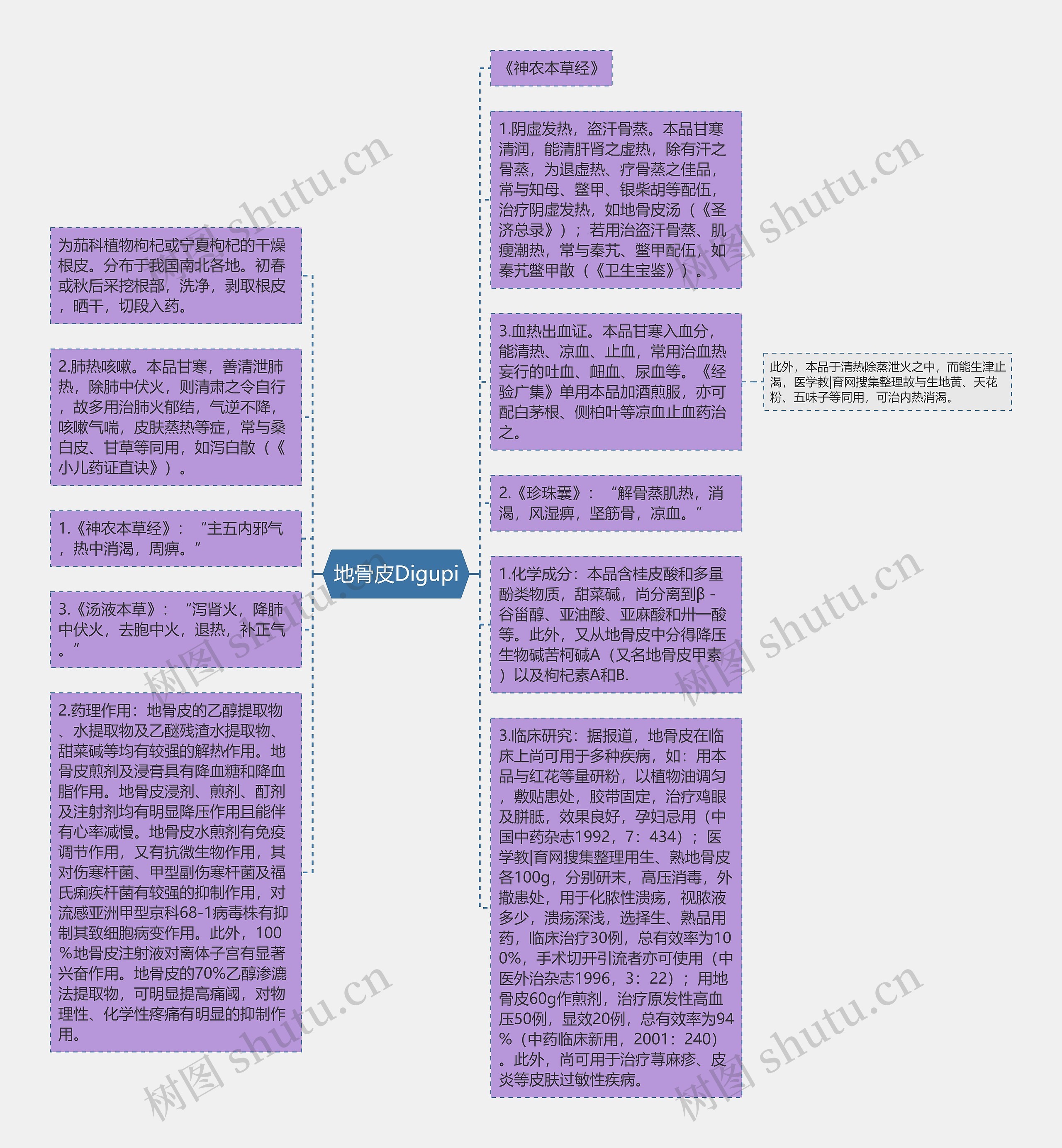 地骨皮Digupi思维导图