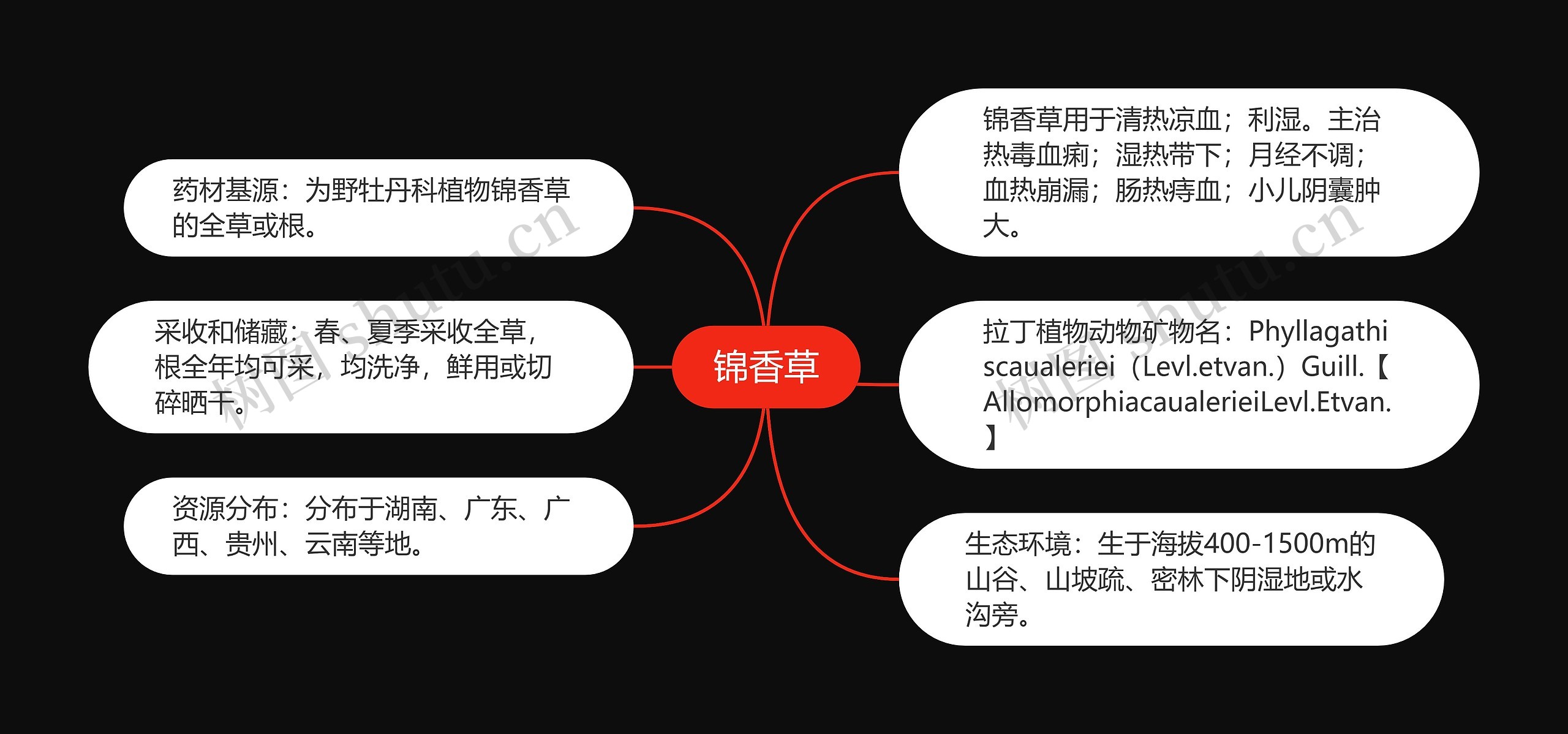 锦香草思维导图