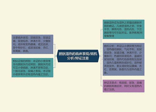 膀胱湿热的临床表现/病机分析/辩证注意