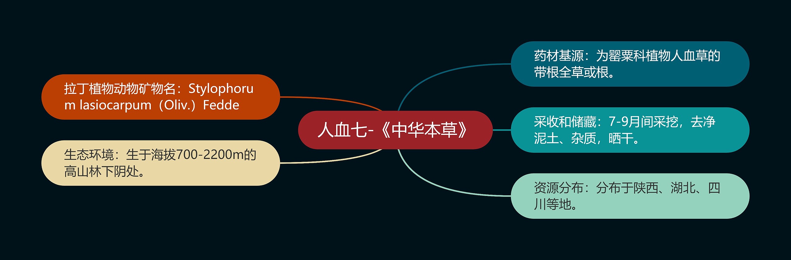 人血七-《中华本草》 人血七-《中华本草》