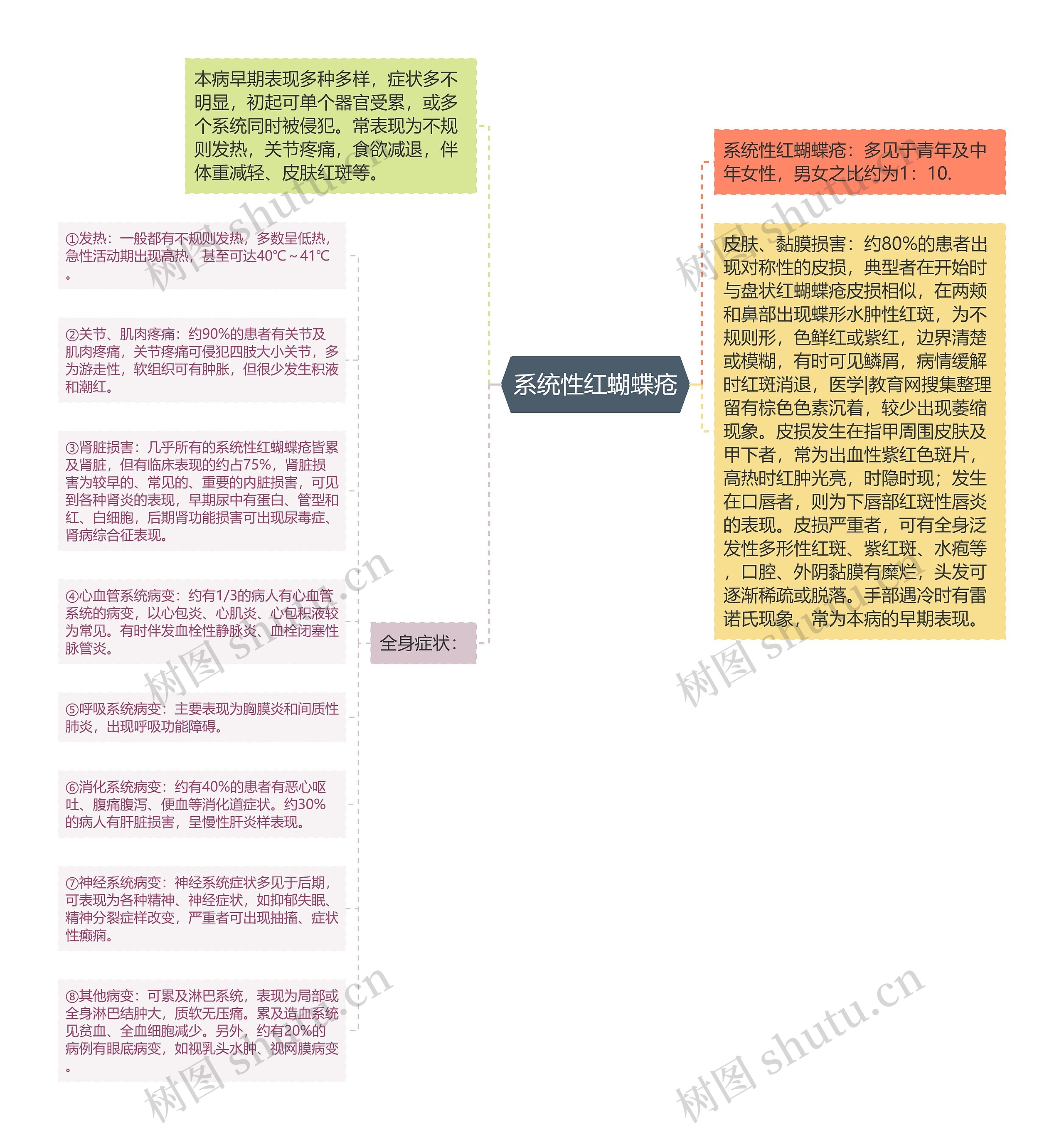 系统性红蝴蝶疮