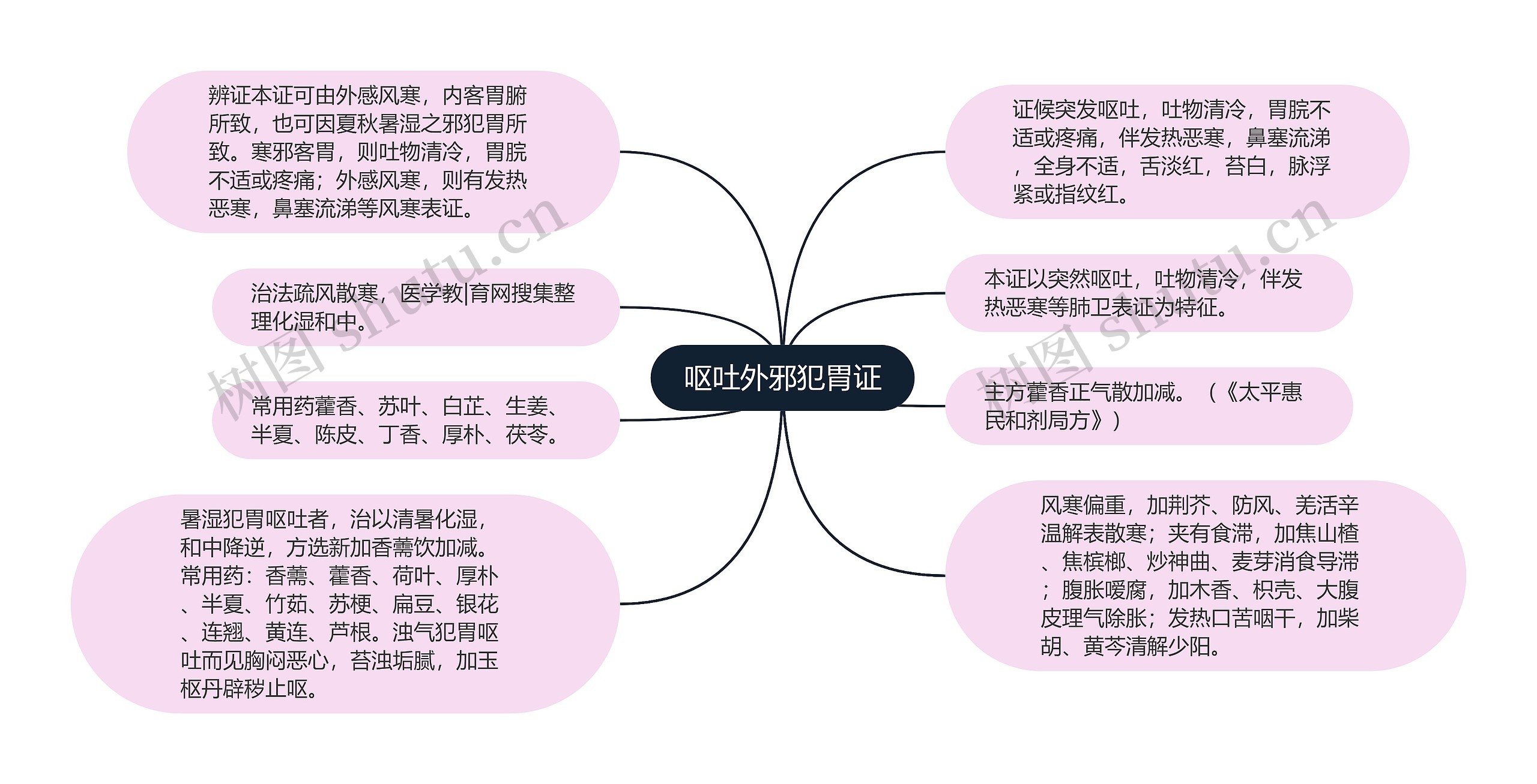 呕吐外邪犯胃证思维导图