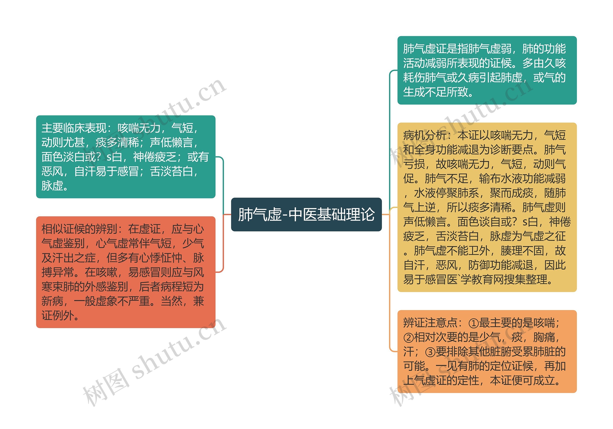 肺气虚-中医基础理论思维导图