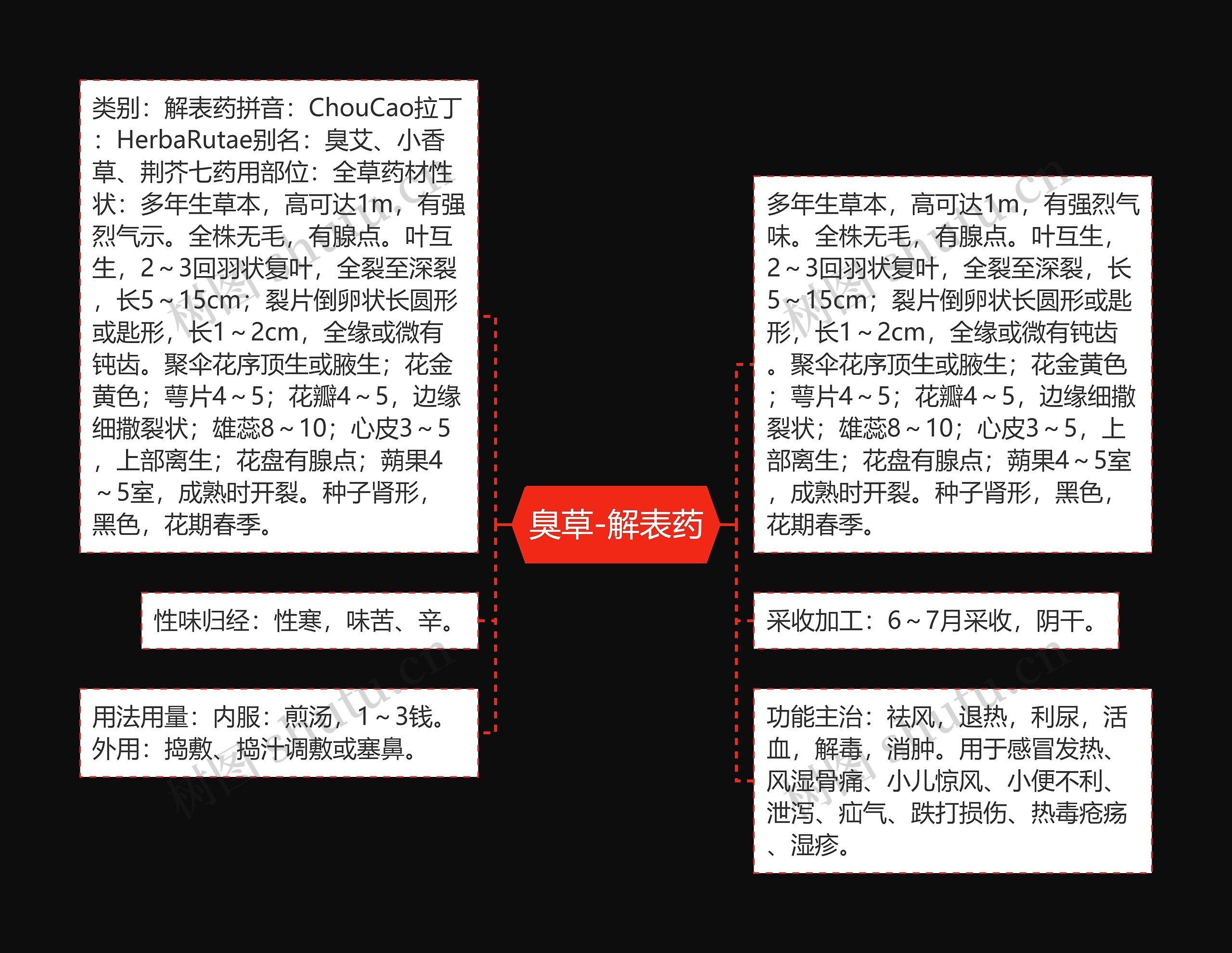 臭草-解表药思维导图