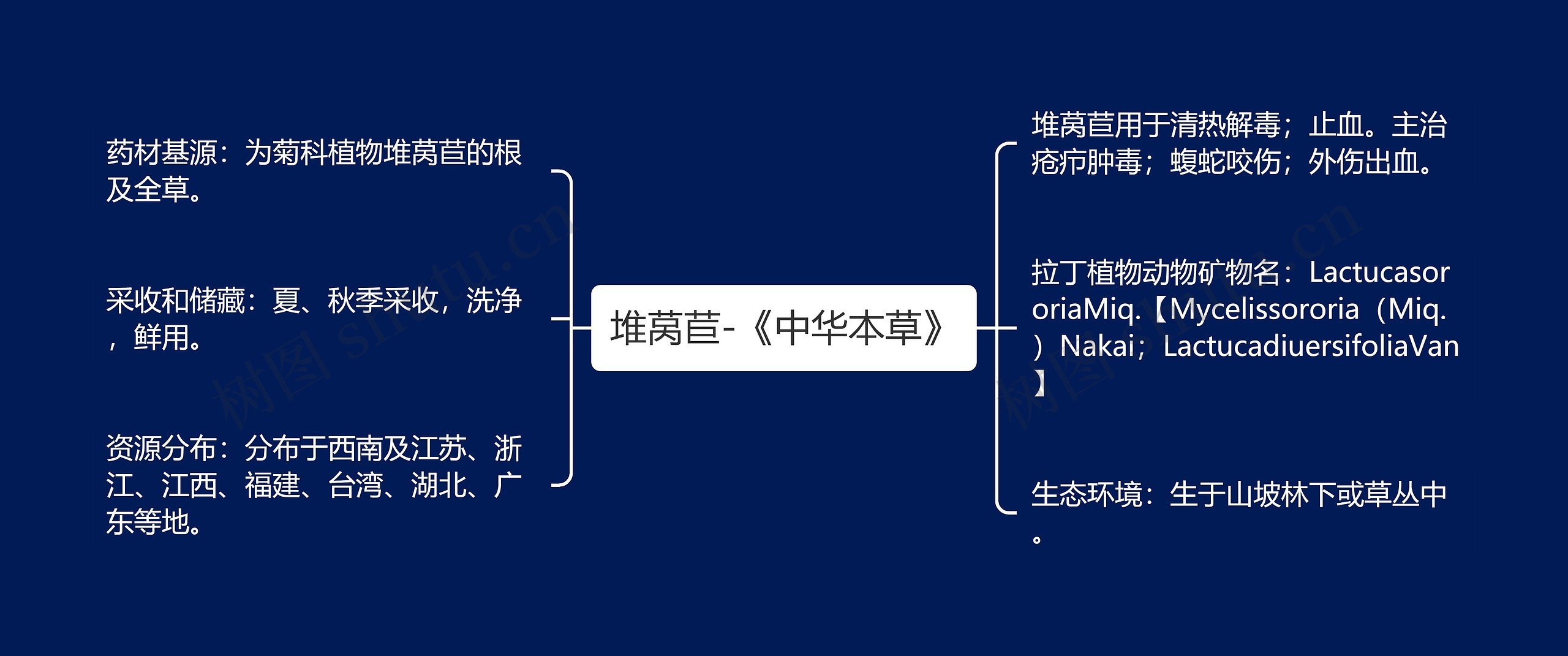 堆莴苣-《中华本草》思维导图